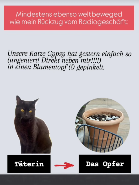 Hier postet Kratky den Täter und das Opfer.