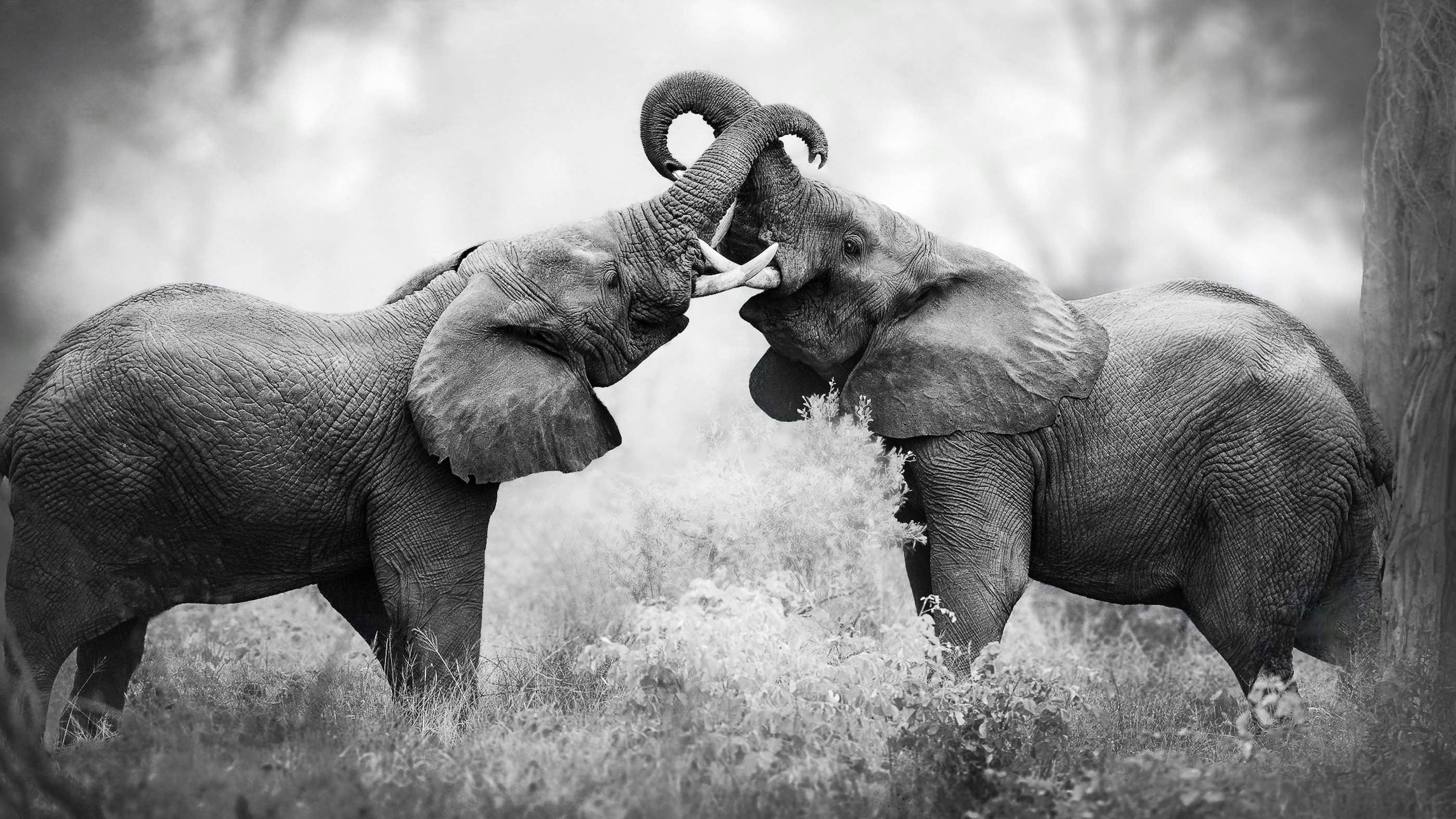 Heute.at - Atemberaubende Bilder für die Hoffnung