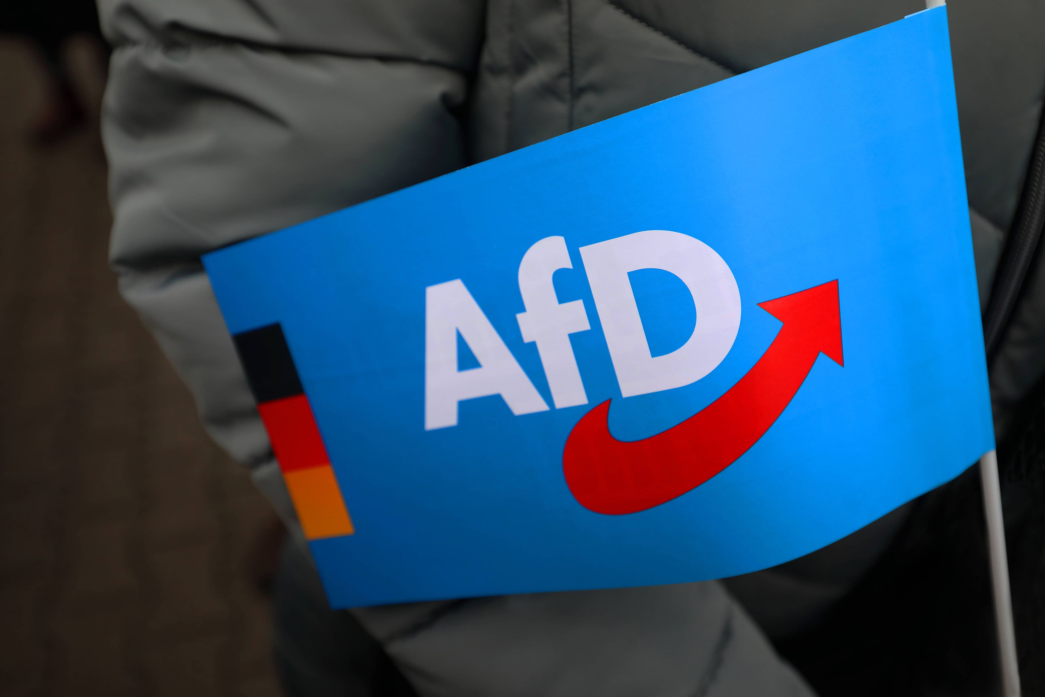 Die AfD hat beim Bundesverfassungsgericht Beschwerde eingereicht. )Symbolbild)