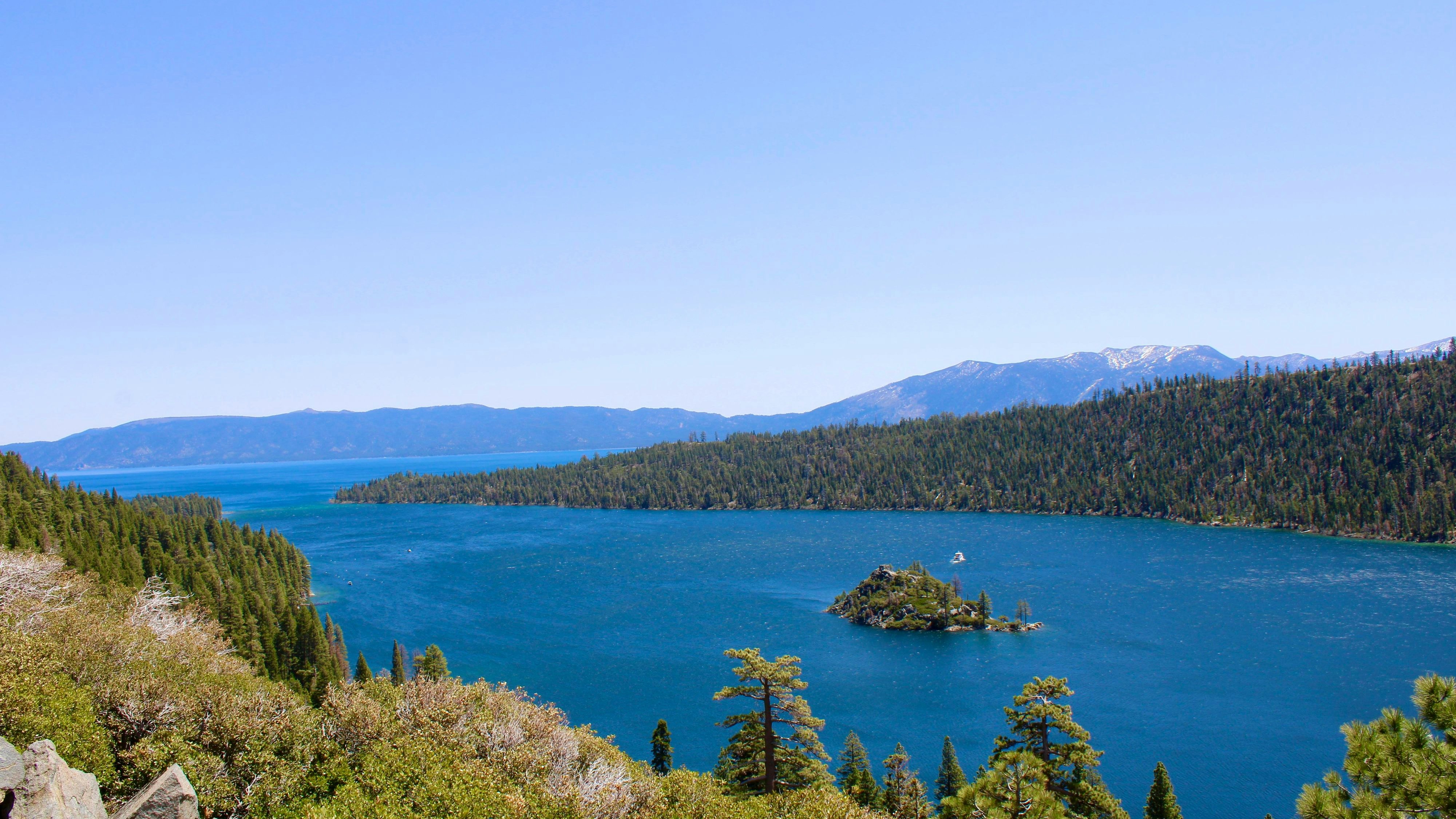 Heute.at - Nach Flohbiss: Camper in den USA an Pest erkrankt