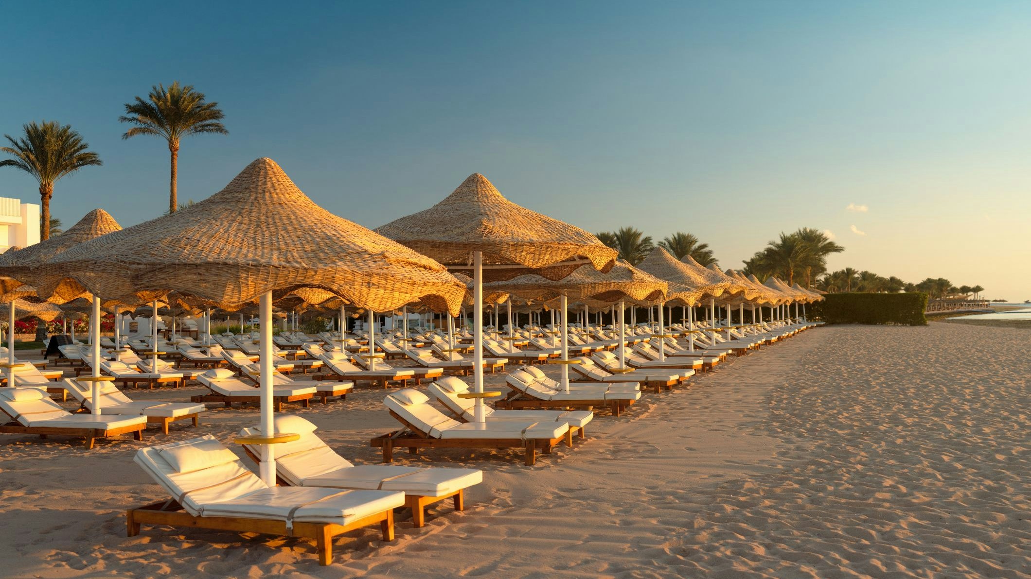 Heute.at - Mallorca regelt Strandliegen per App – Urlauber sauer