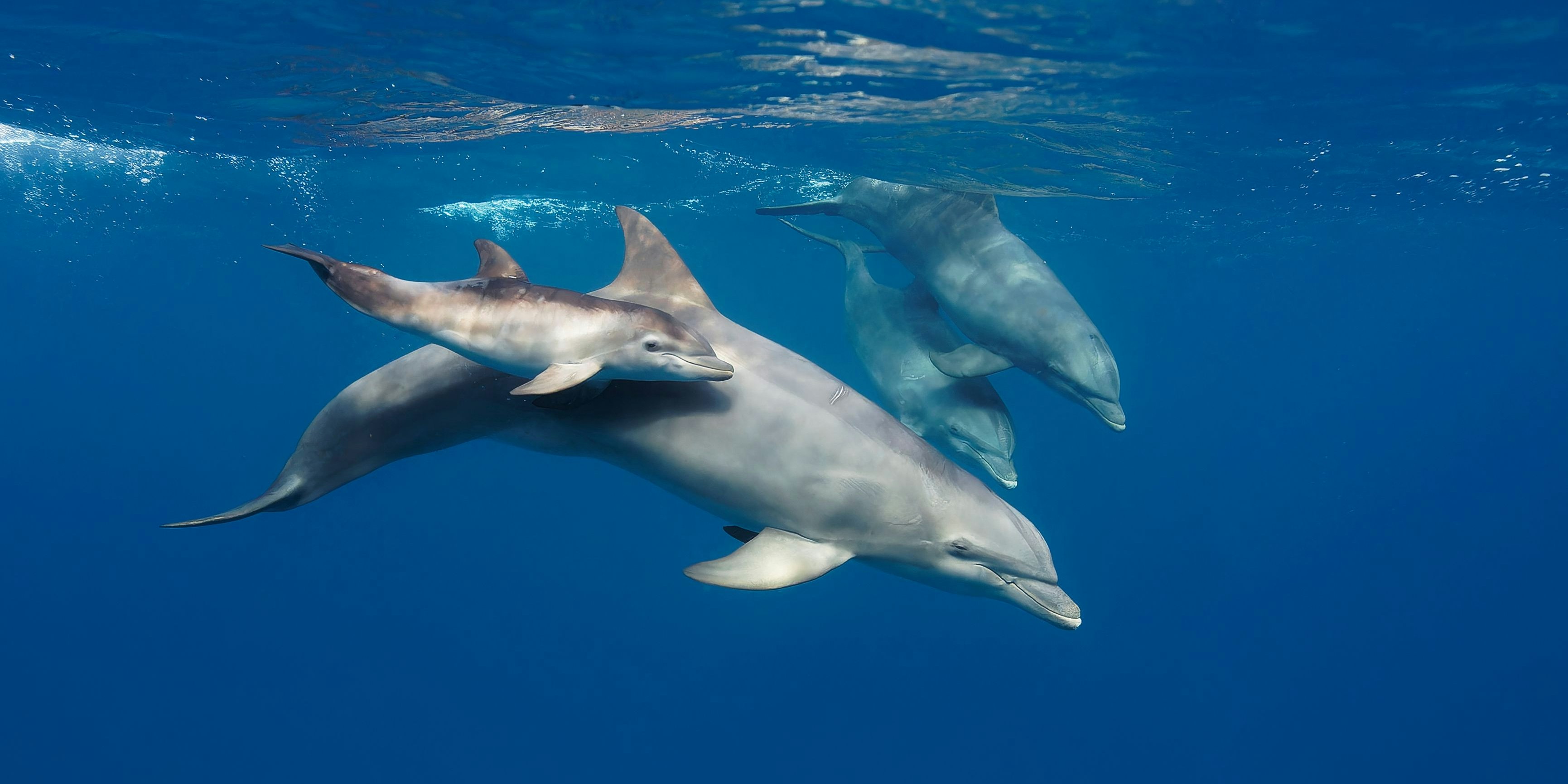 Ein Umdenken ist schon lange fällig. 