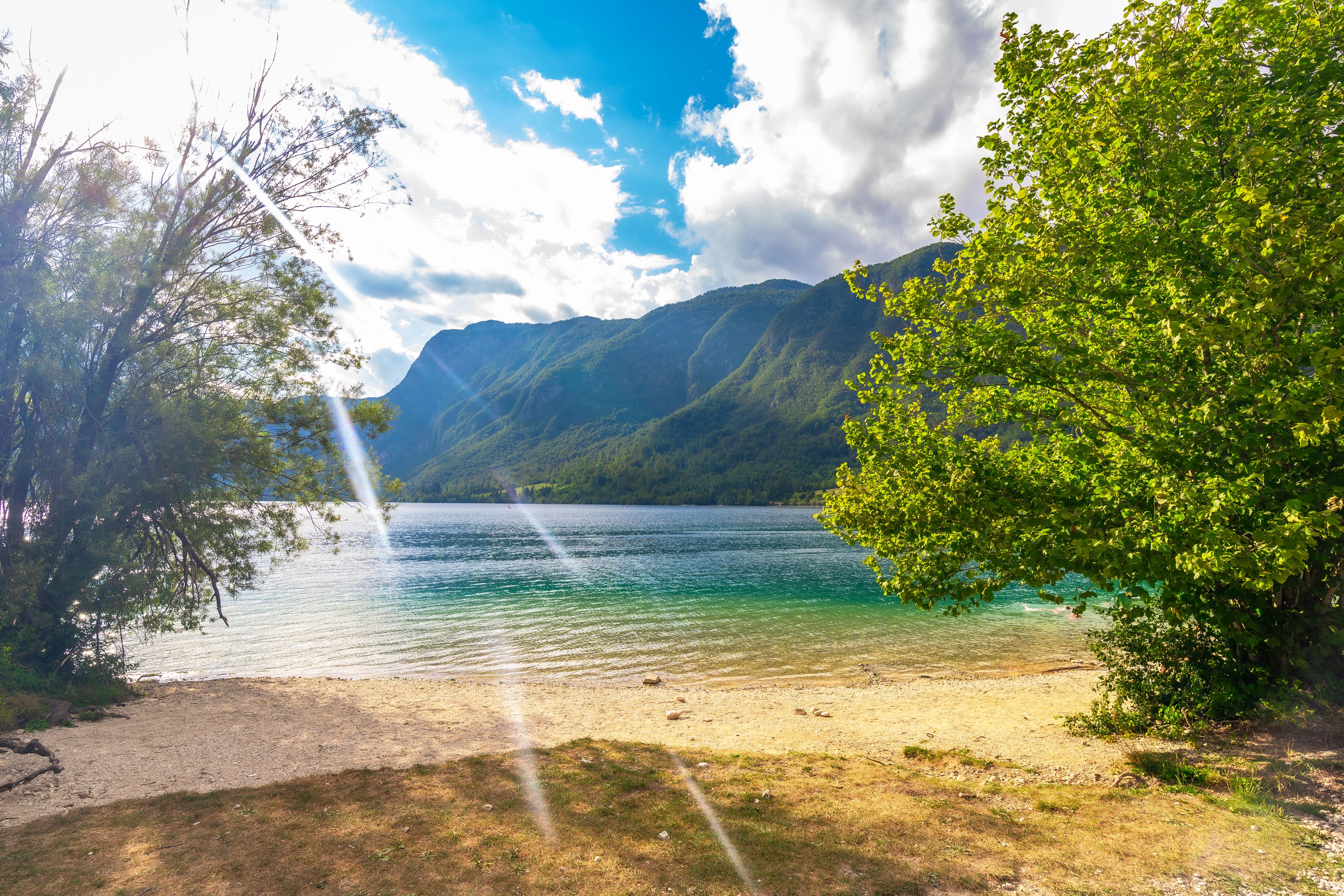 Der Bohinj-See eignet sich für Hunde bestens zum Baden – eigentlich.