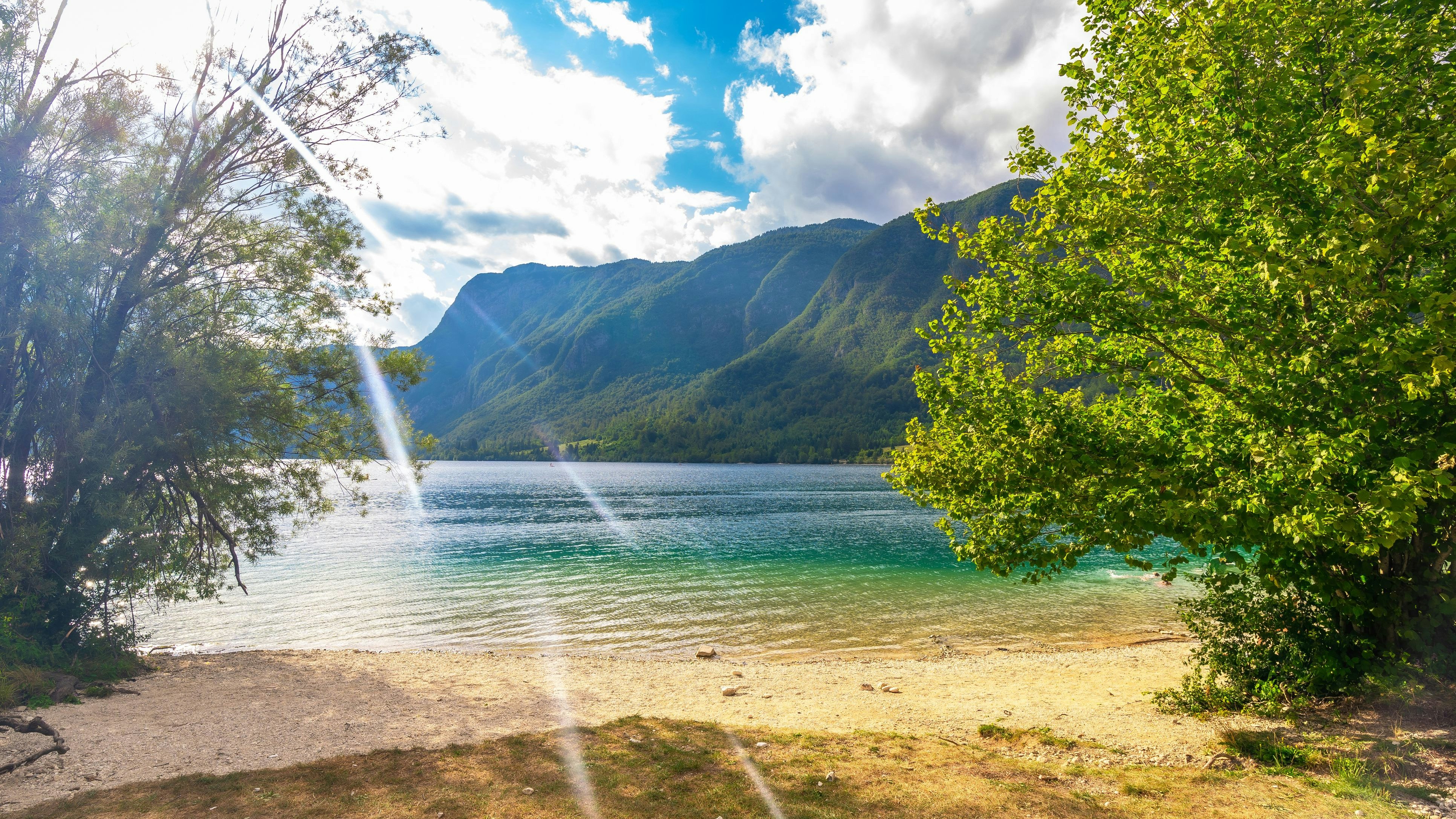 Heute.at - Mehrere Hunde nach Abkühlung in Badesee gestorben