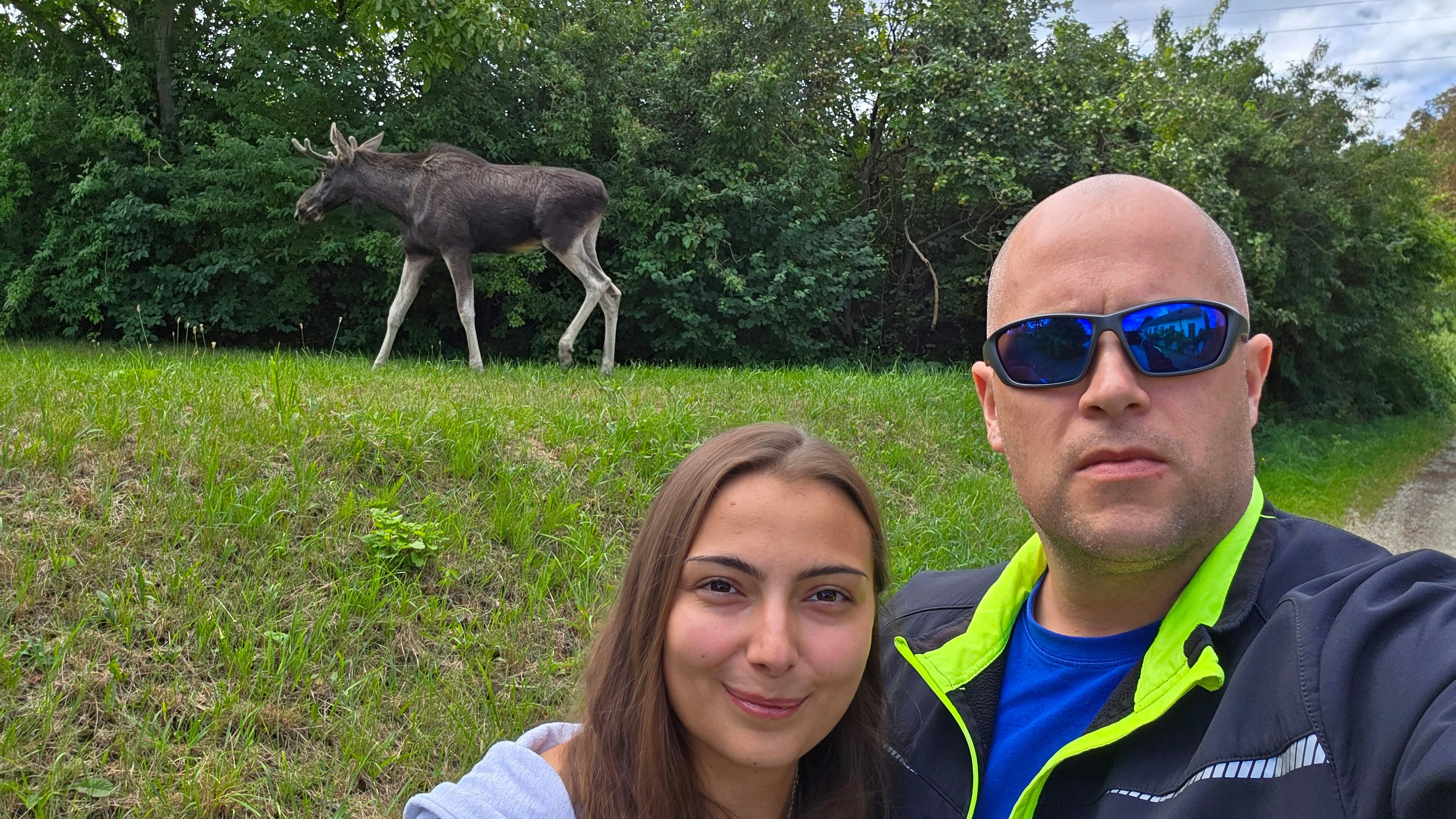 Heute.at - Da steht er! – Paar sichtet Elch in Niederösterreich