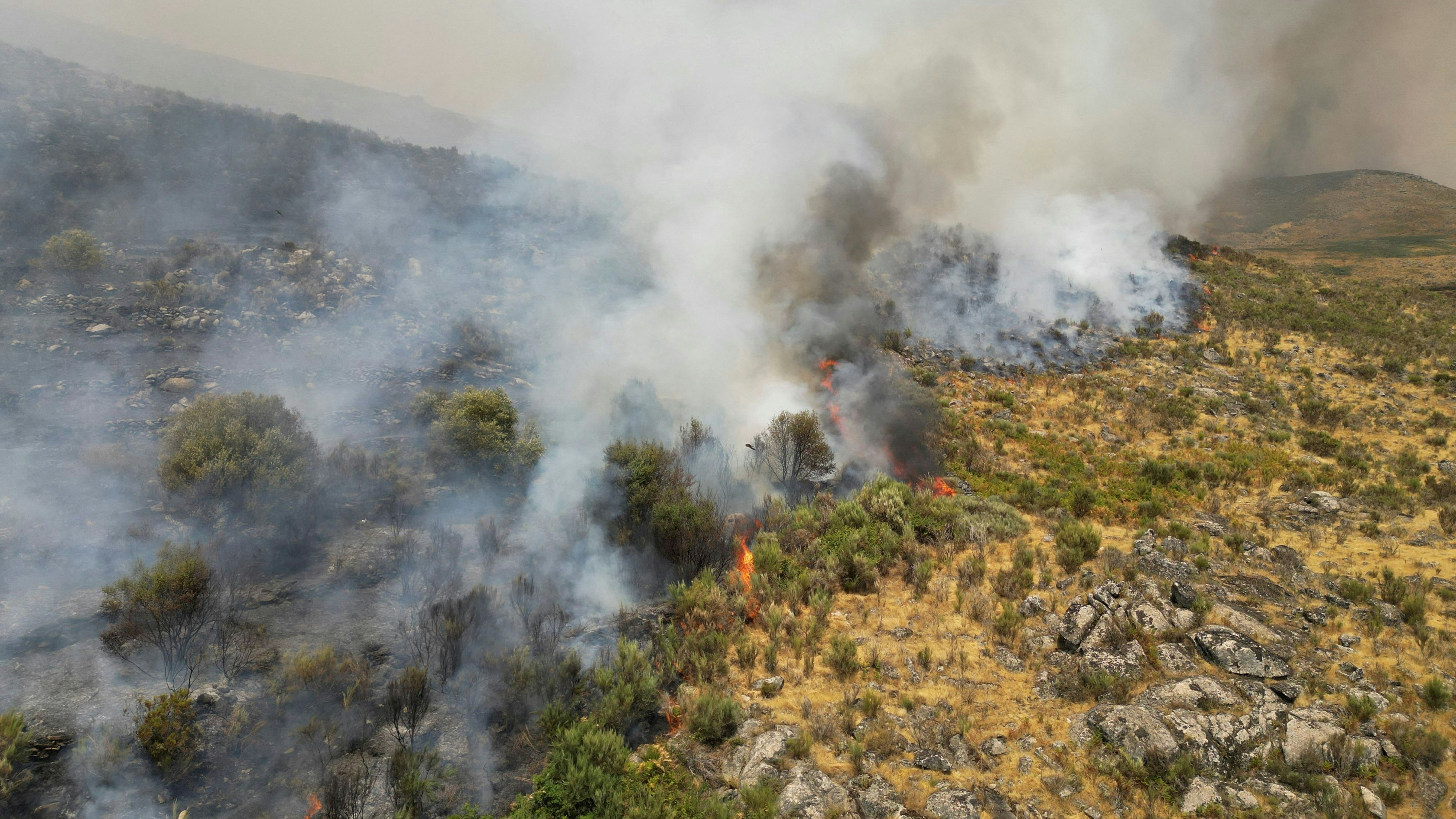 Heute.at - Feuerwehrmann stirbt bei Waldbränden in Portugal