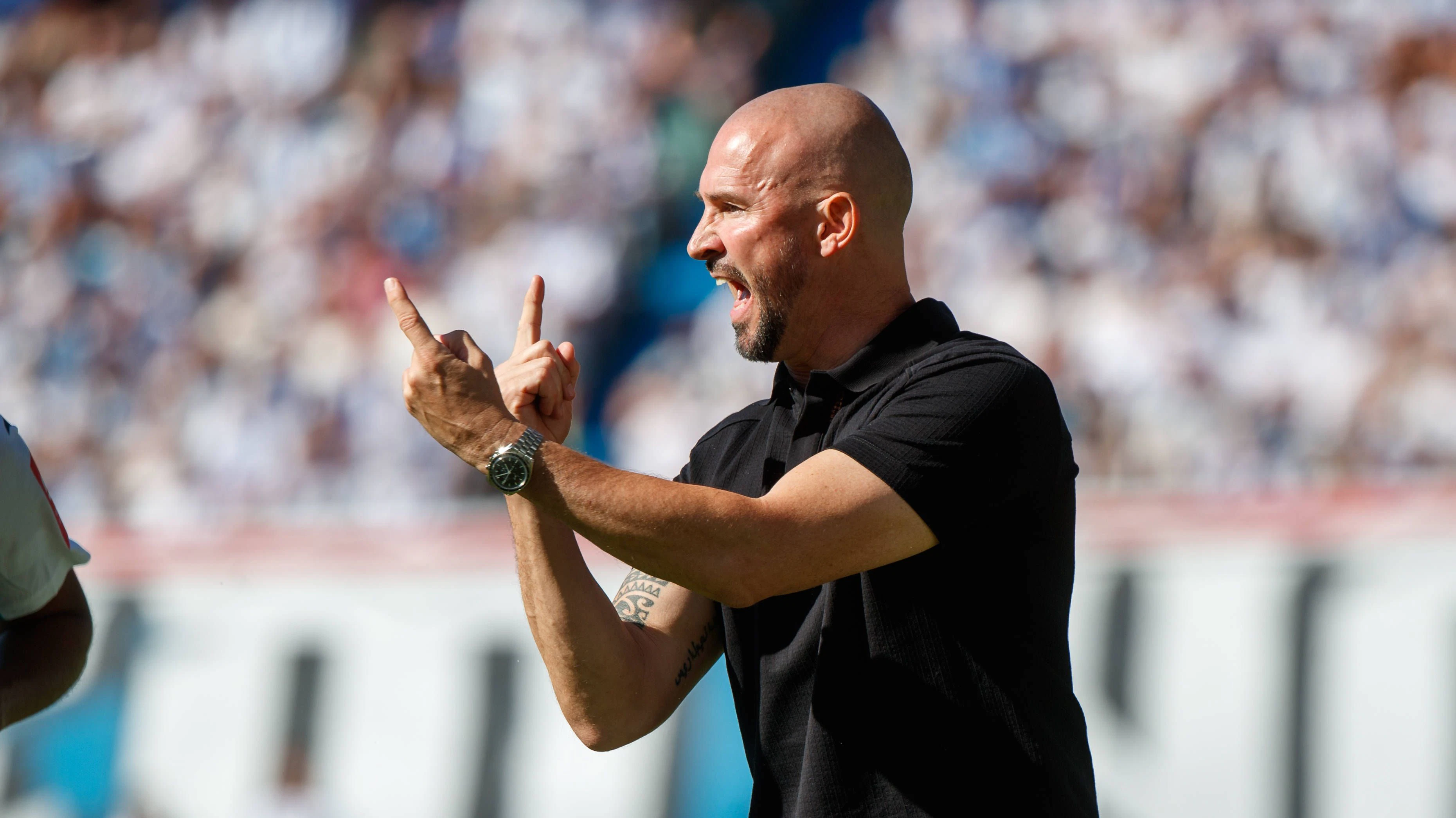 Hoffenheim-Trainer Christian Ilzer. 