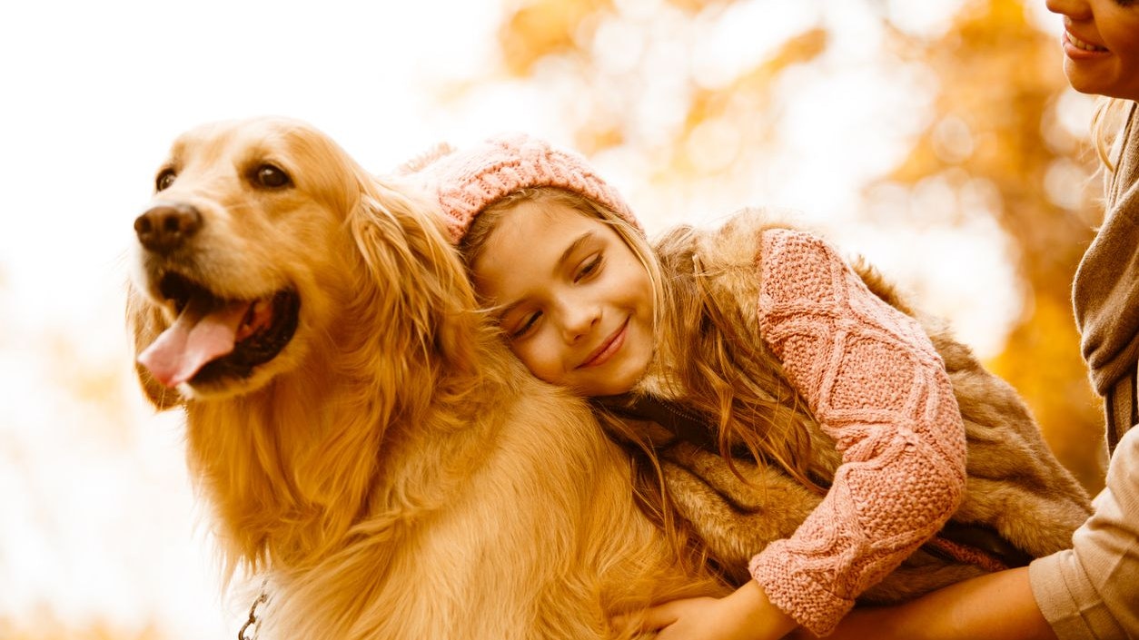 Heute.at - Im baldigen Herbst lauern Gefahren auf Hund und Katz’