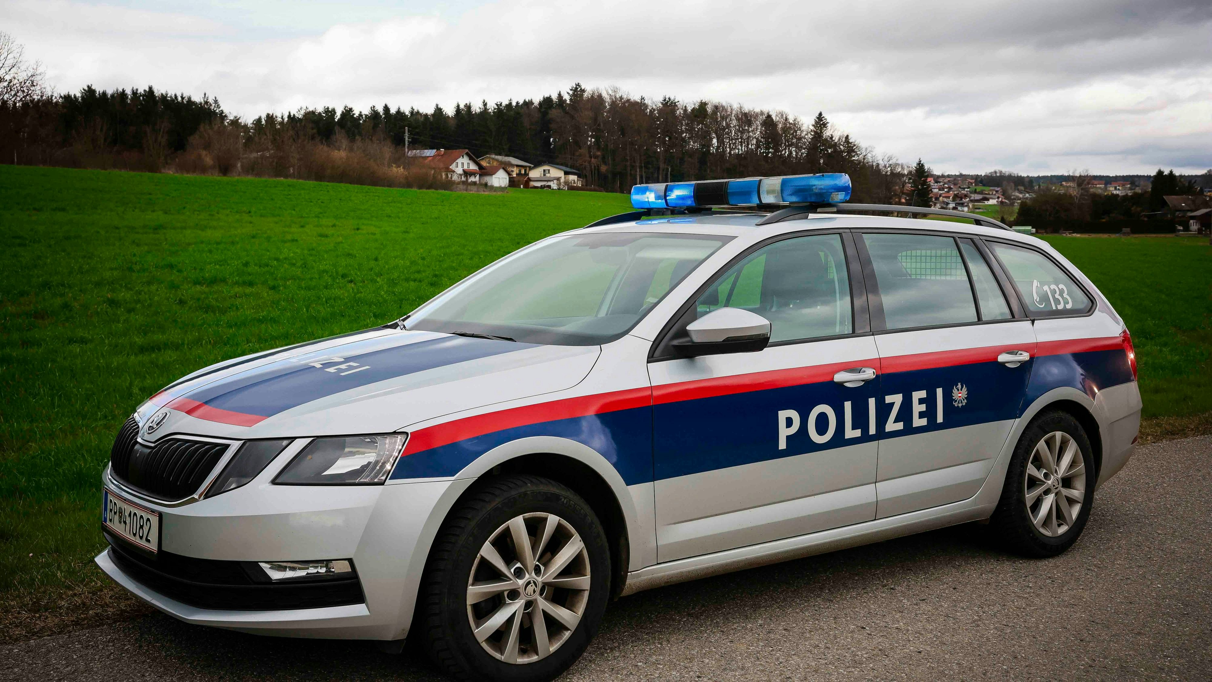 Heute.at - Hundeattacke am Hauptplatz – Fahndung nach Tierhalterin