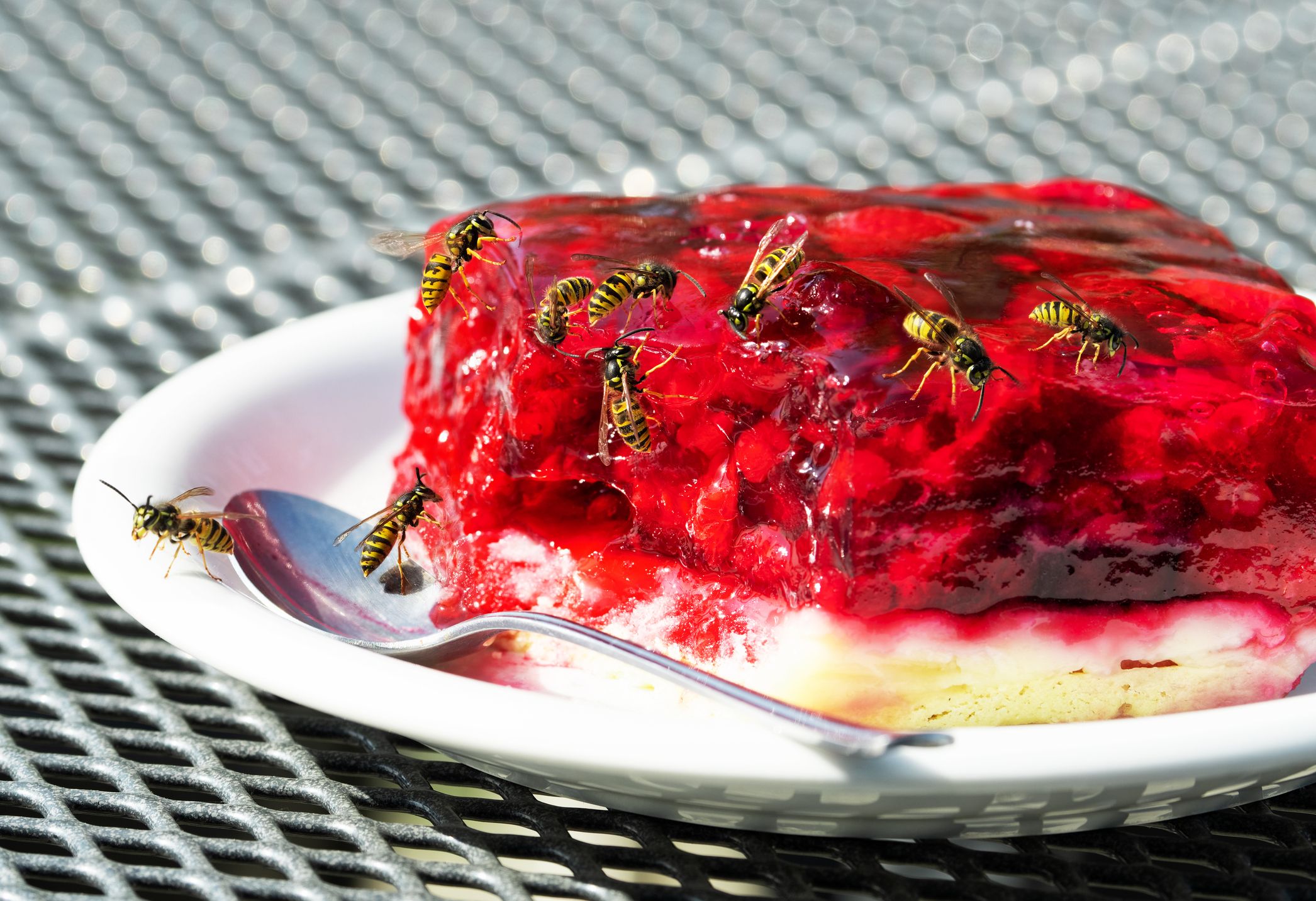 So manch einem vergeht angesichts eines solchen Anblickes die Lust auf Kuchen im Sommer. 
