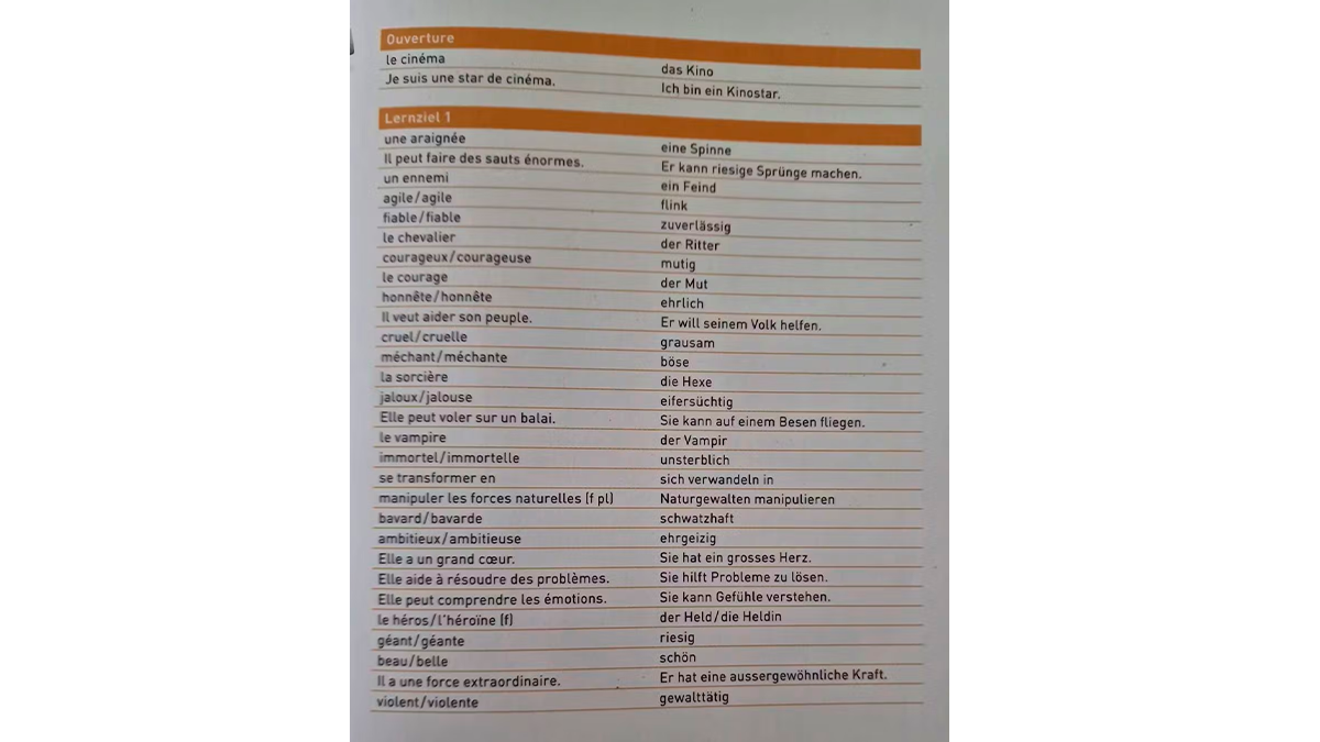 Du kannst ein Bild deines Lehrmittels hochladen, zu dem Thema, das in der Prüfung bevorsteht. Hier:  Französisch-Vokabel.