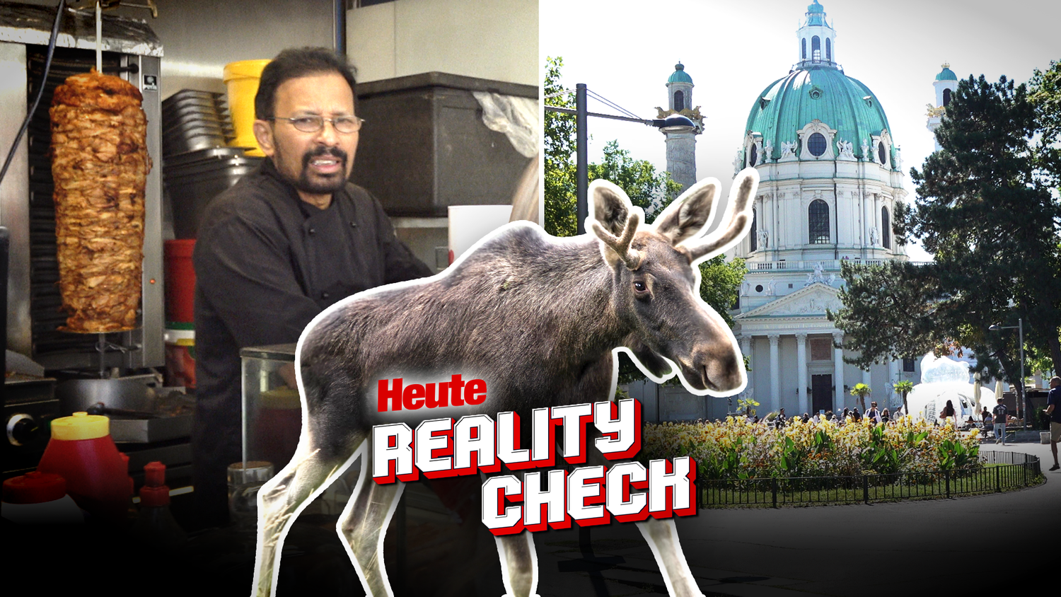 Wo ist der abenteuerlustige Elch jetzt? –&nbsp;<em>