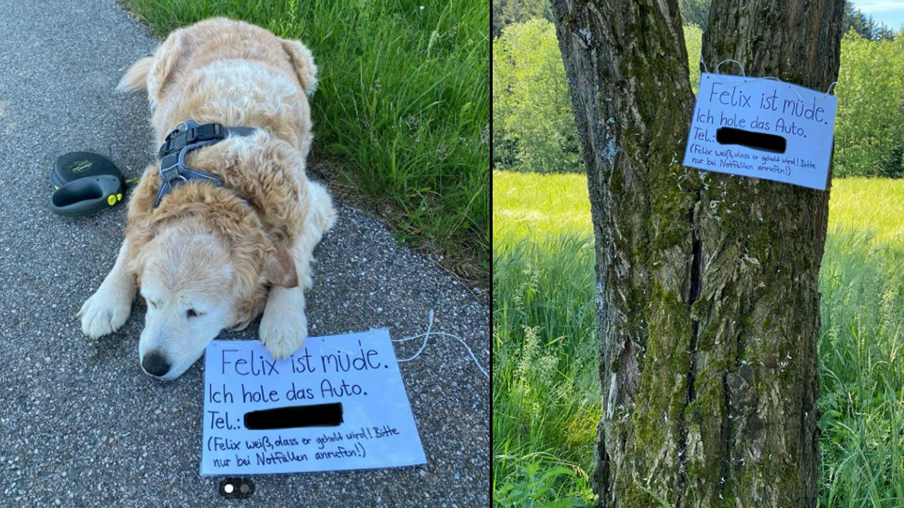 Heute.at - Zettel bei Hundeopi macht stutzig, bis man ihn liest