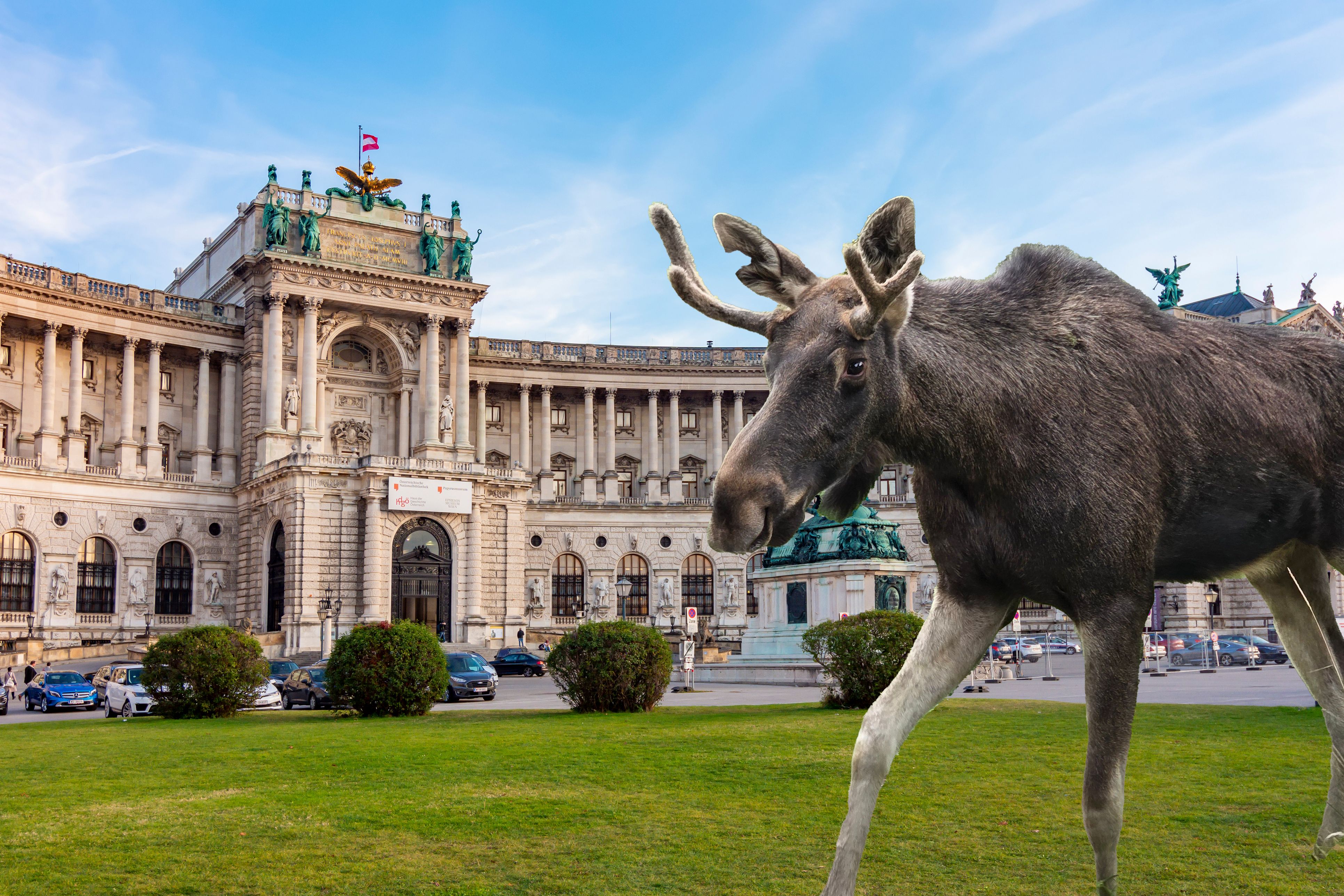 Montage: So würde Elch Emil vor dem Wiener Heldenplatz aussehen.