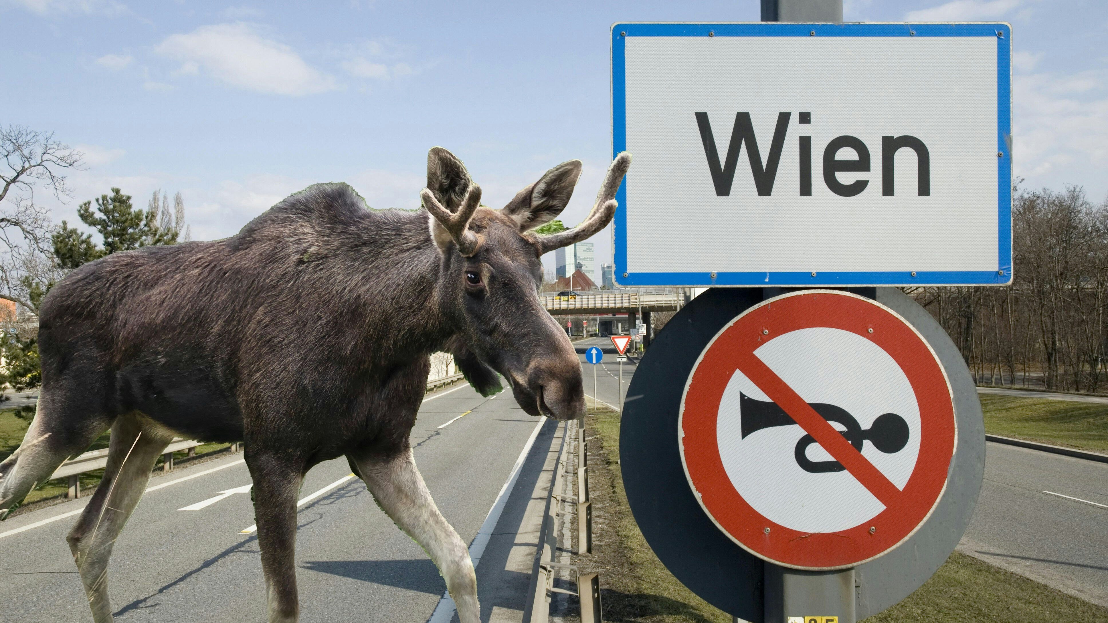 Heute.at - Ausnahmesituation – Wien rüstet sich für Elch Emil