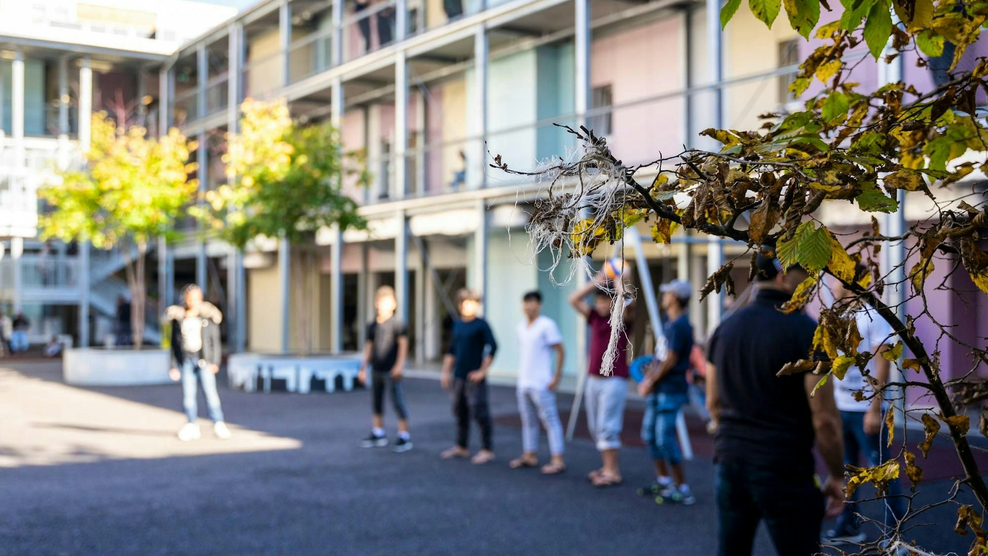 Heute.at - Gewalt, Sex-Belästigung – Asylbewerber (18) packt aus