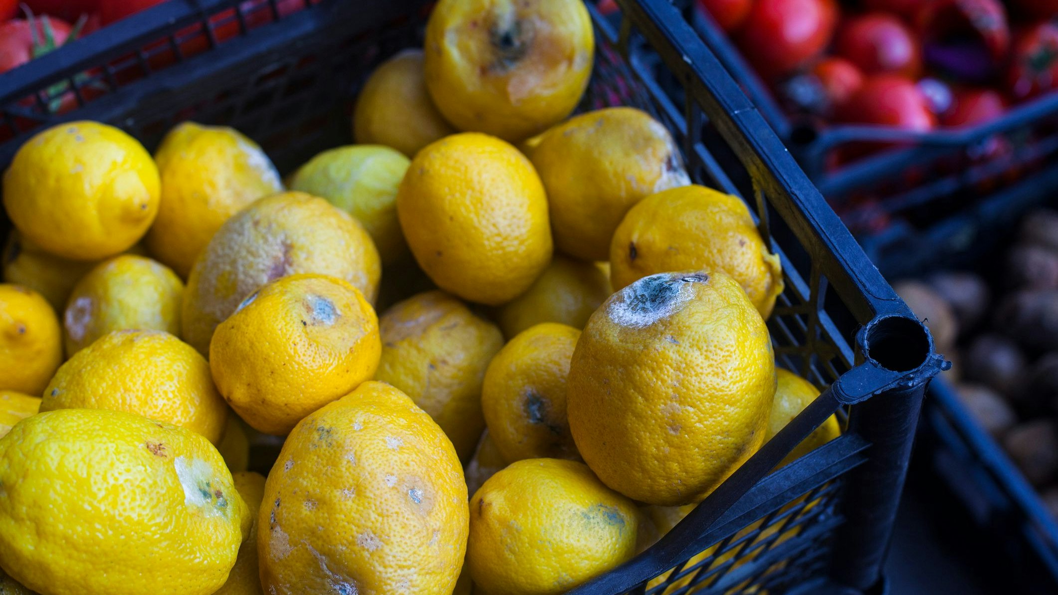 Nicht nur unschön anzuschauen, sondern auch gefährlich: schimmelige Früchte.
