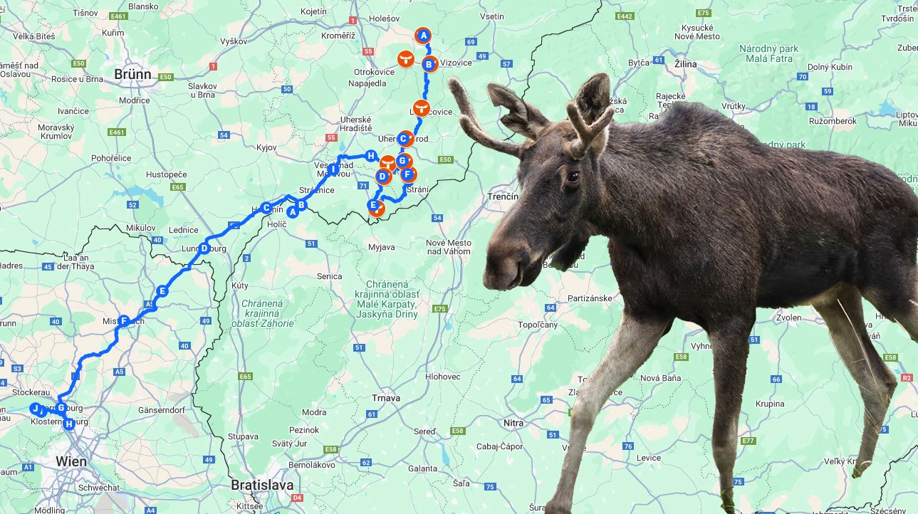 Montage: Emils unglaublicher Weg – ein User zeichnete die Route des Elchs von Vizovice bis Klosterneuburg auf Google Maps nach.