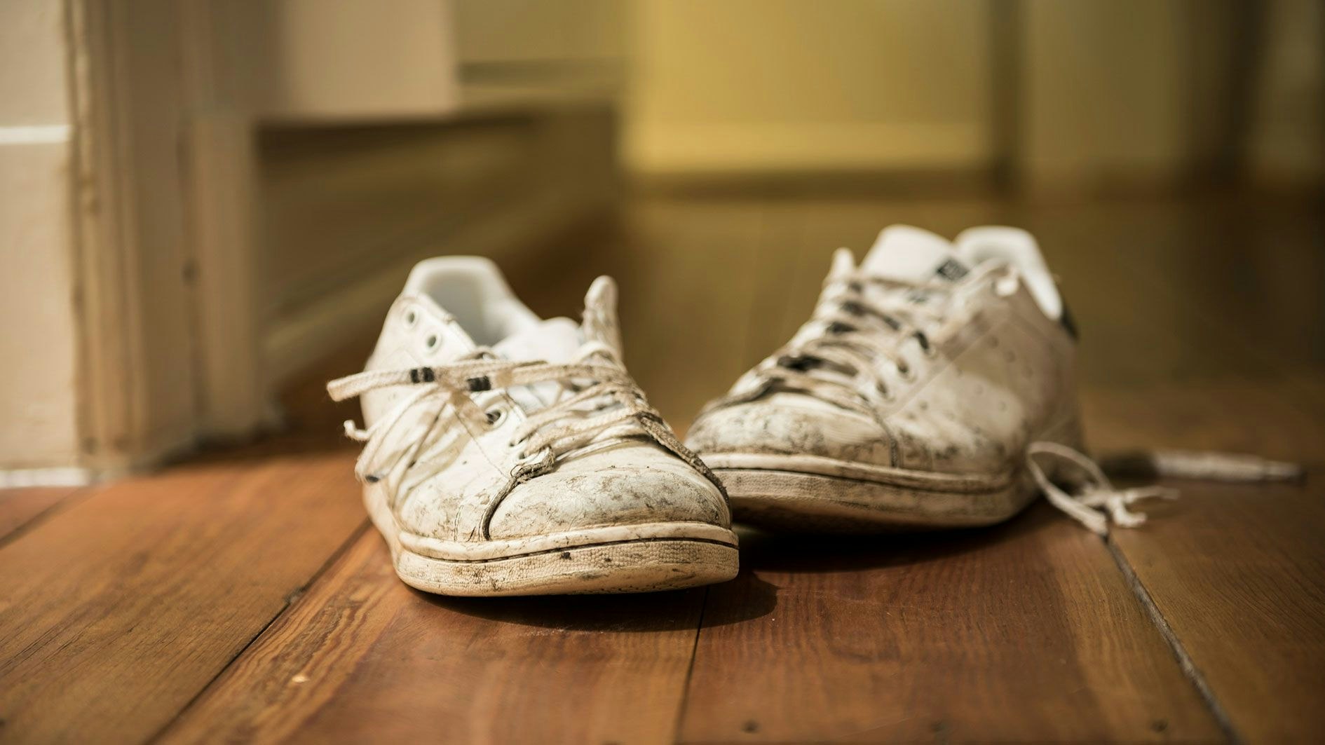 Heute.at - Igitt! So oft sollte man seine Schuhe wirklich reinigen