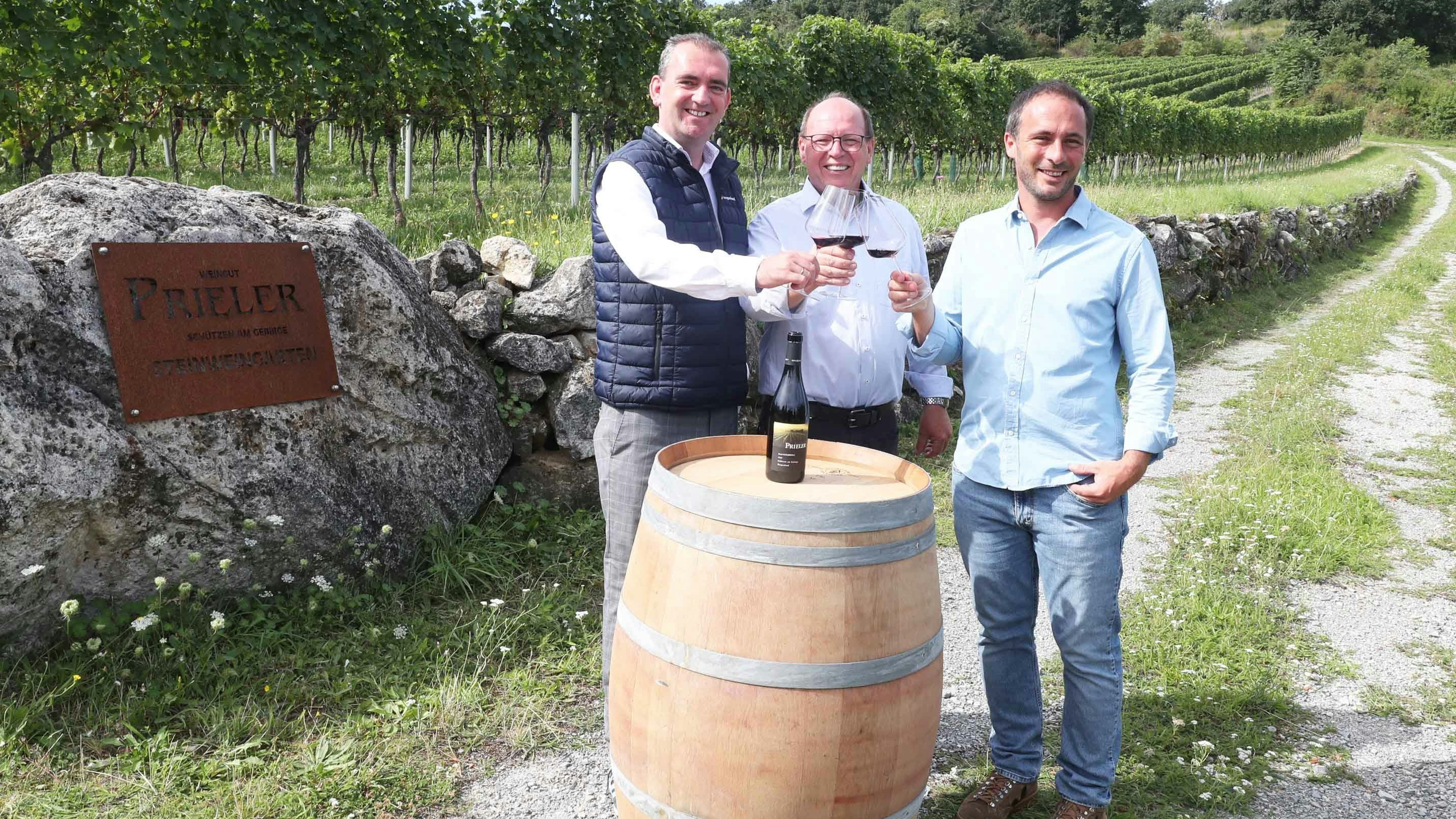 Heute.at - Fein! Burgenland erwartet Top-Jahrgang beim Wein