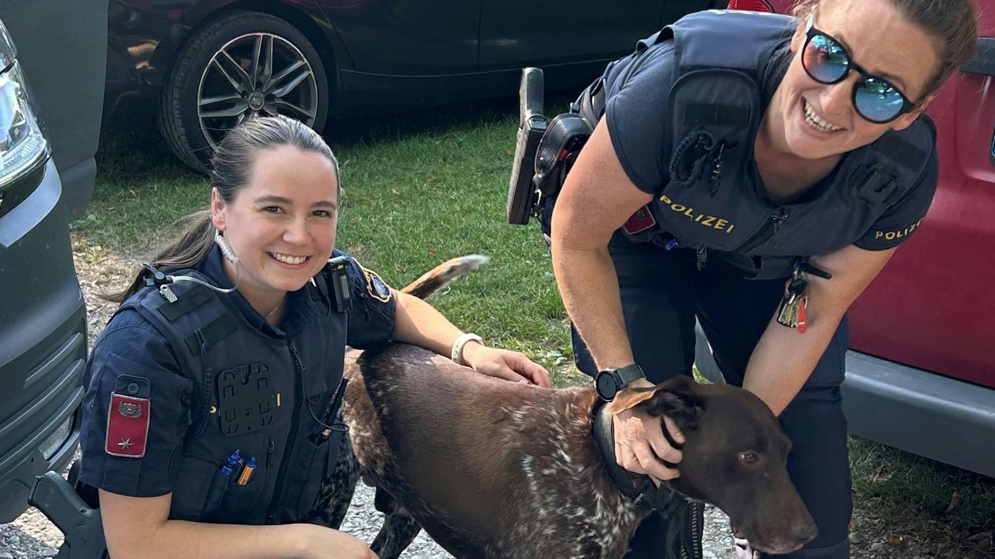 Heute.at - Polizistinnen retten Hund aus überhitztem Fahrzeug