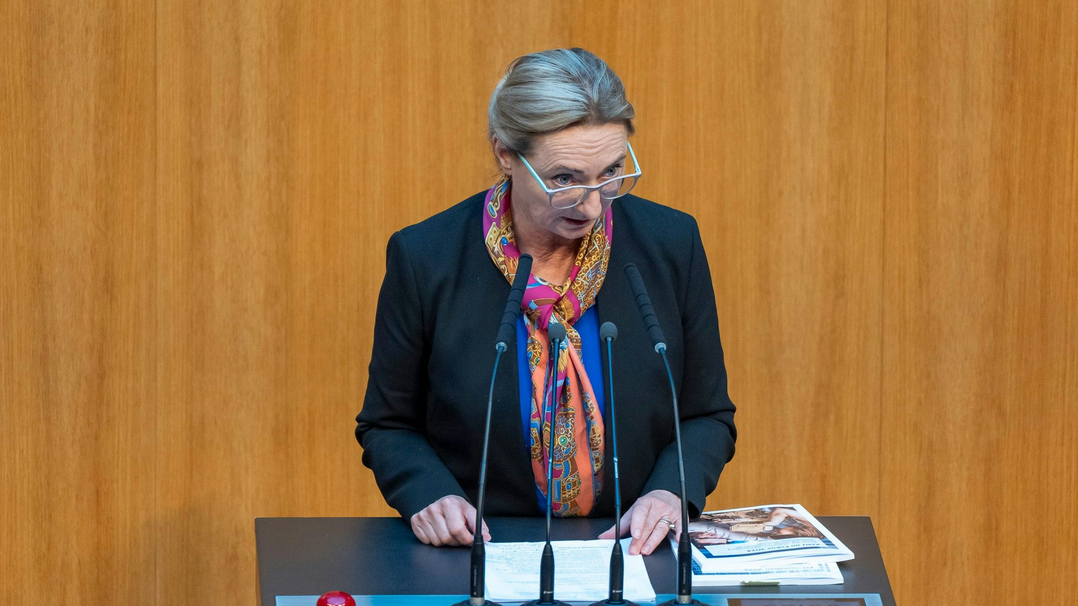 Laut FPÖ-Wirtschaftssprecherin Kolm sind Probleme wie Inflation und Insolvenzwellen hausgemacht.