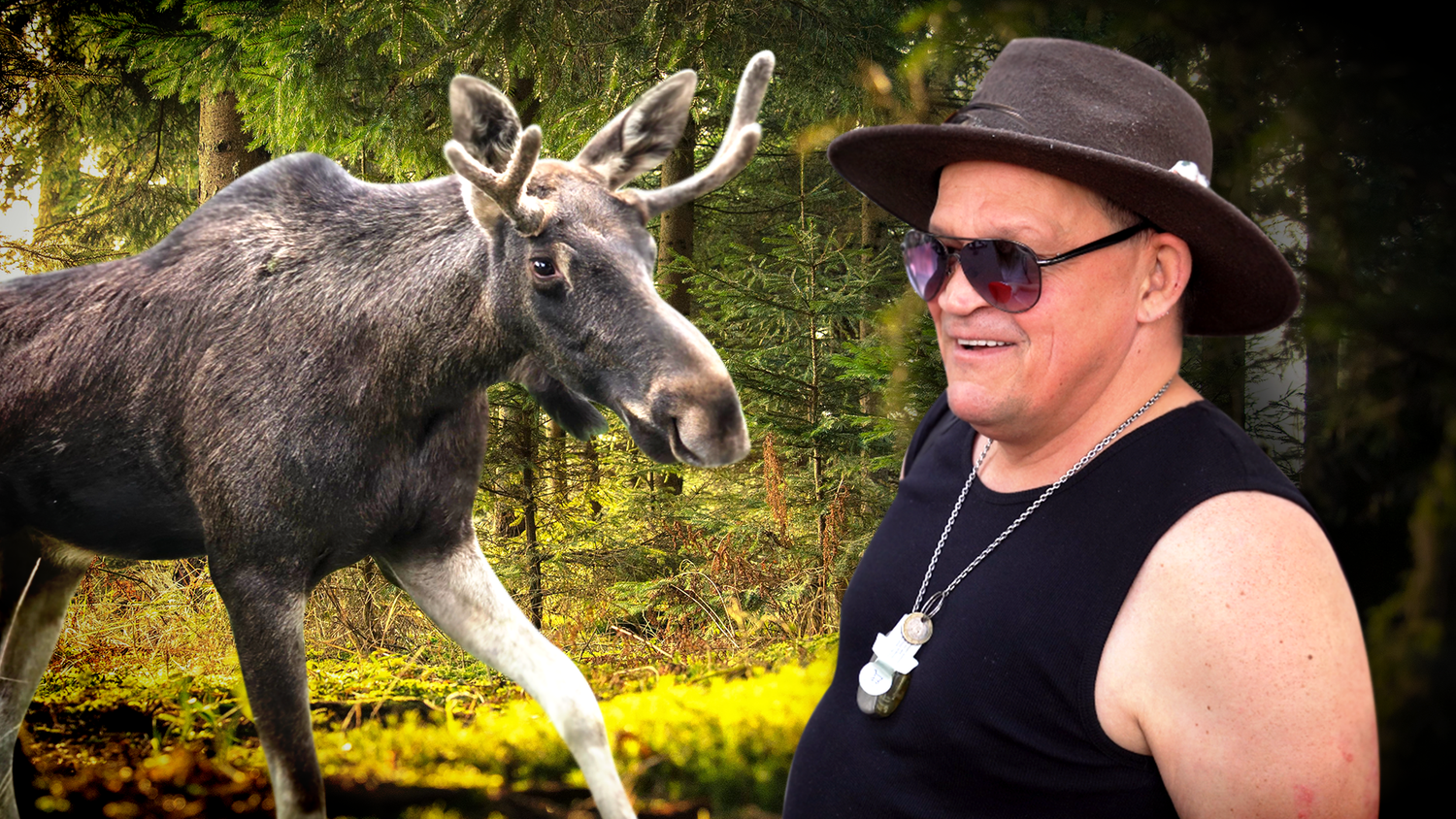 Heute.at - Eine Elchdame – Das wünschen sich Wiener für Emil