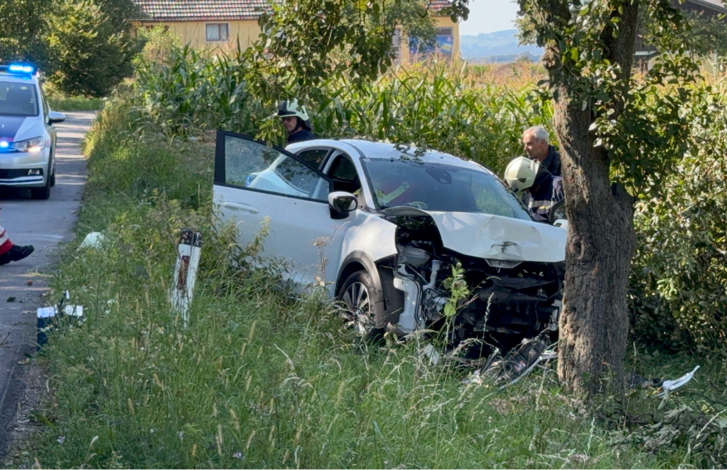 Am Dienstag kam eine Lenkerin von der Straße ab und geriet gegen einen Baum.