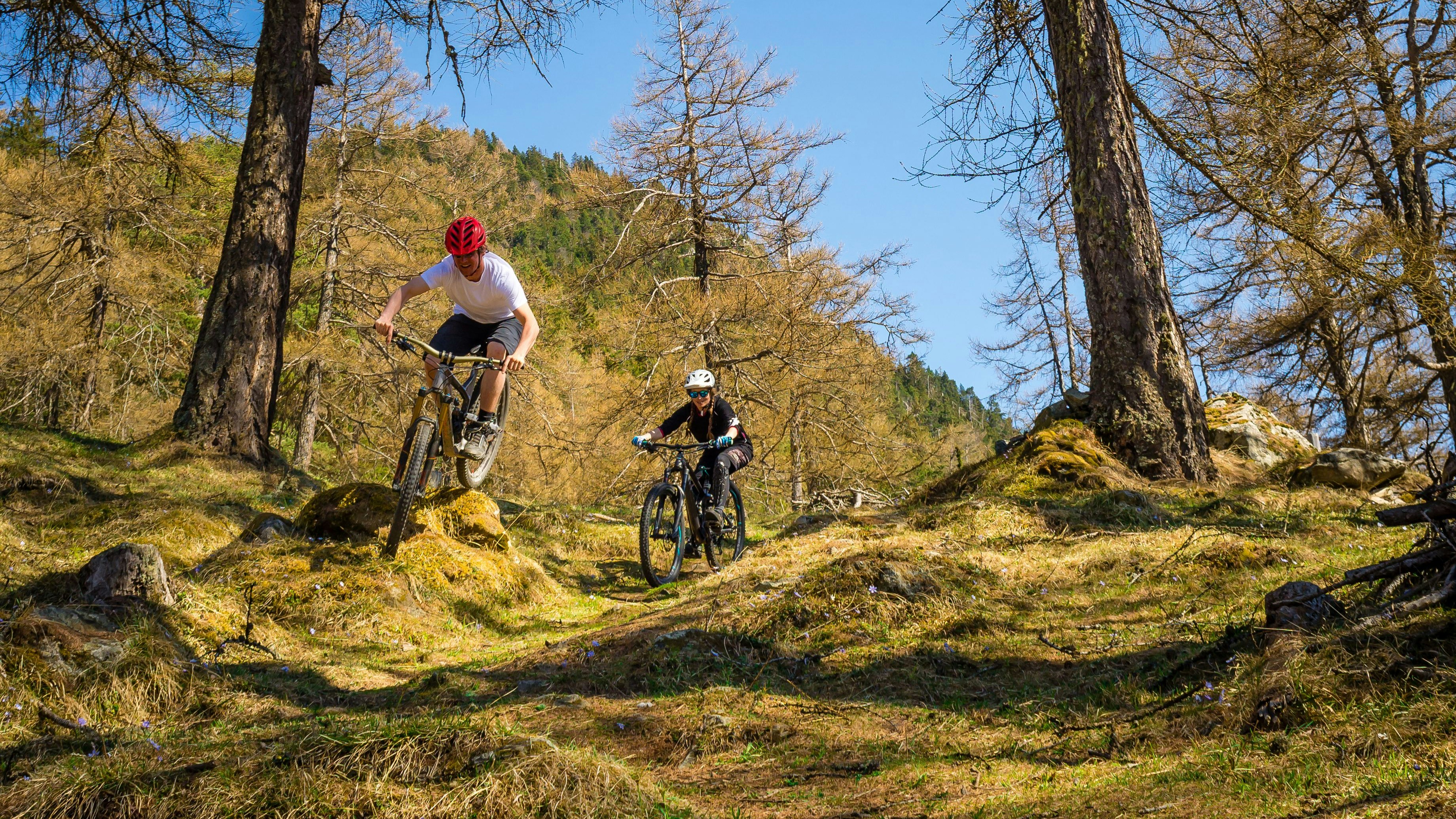 Heute.at - E-Biker kommt von Trail-Strecke ab und stürzt auf Stein