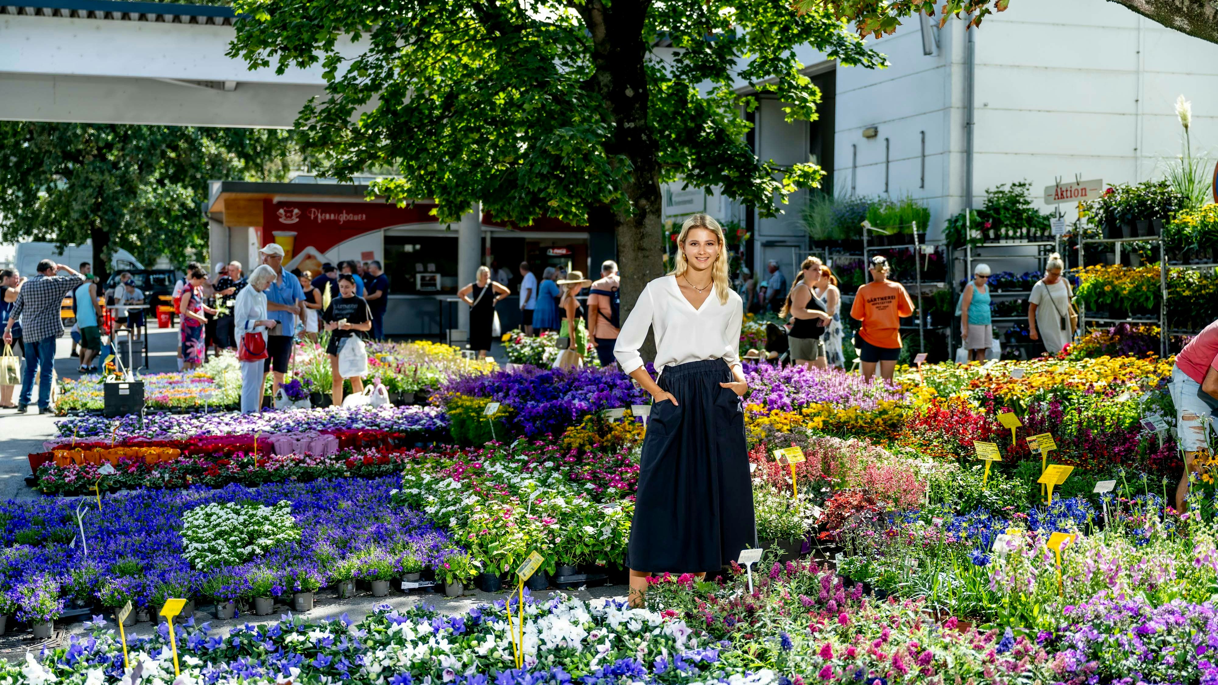 200.000 Blumen werden ausgestellt.