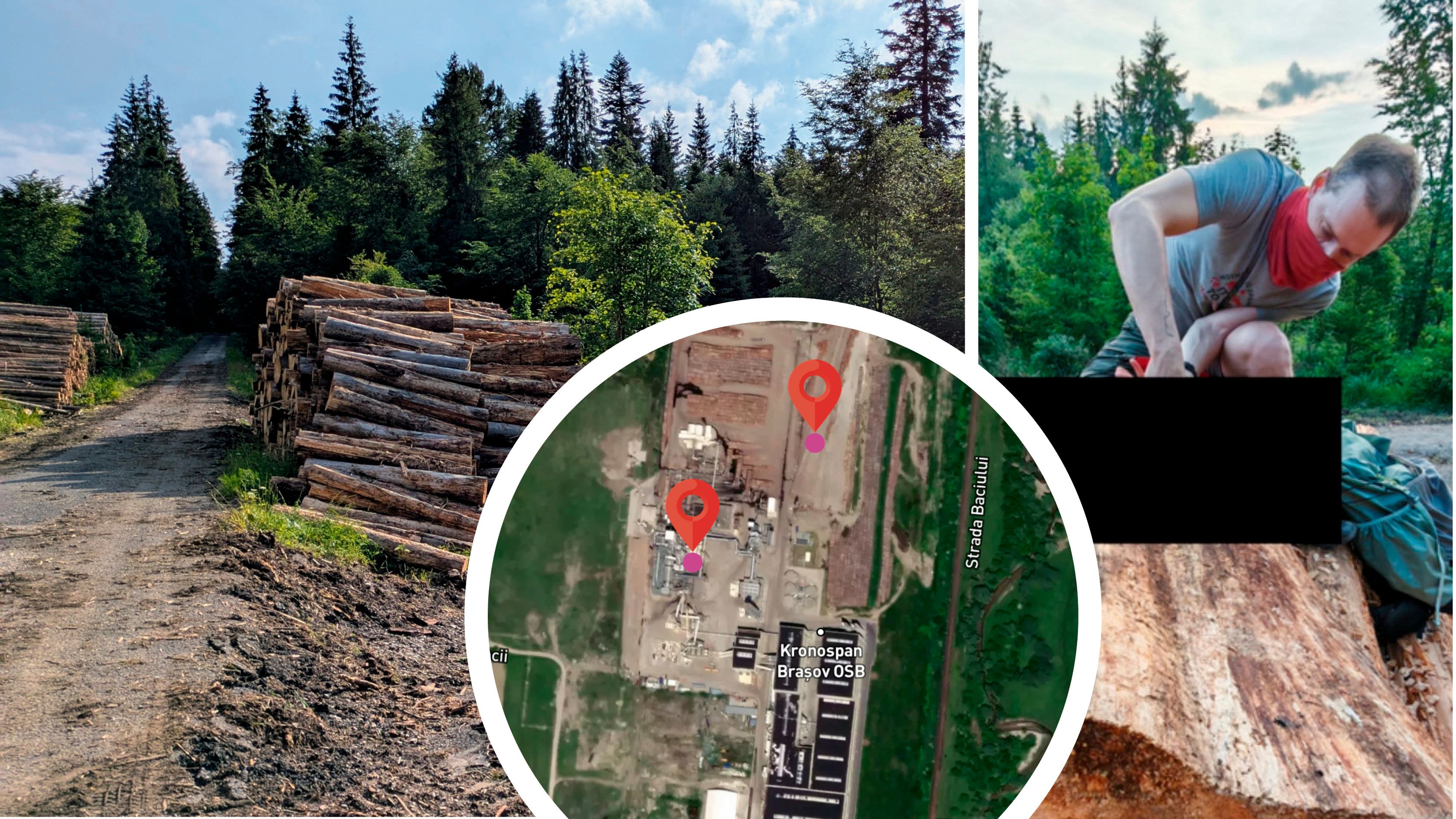 Ein versteckter GPS-Tracker verfolgte die Spur von Holz aus dem Nationalpark Hohe Tatra (Slowakei) in das Sägewerk Brasov in Rumänien, August 2025
