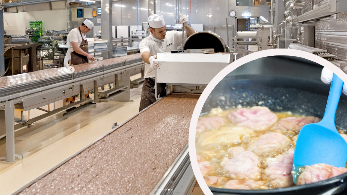 Heute.at - Echtes Brainfood – Zotter verkauft Hirn mit Ei Schoki