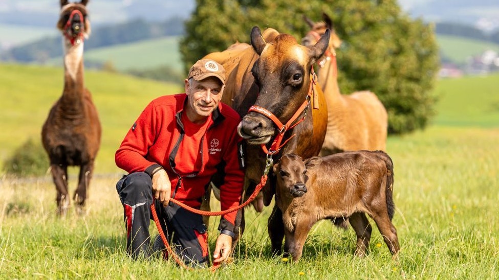 Zwei "Martins" auf einem Bild. Das Kälbchen trägt nämlich den gleichen Namen wie seine Hebamme und Tierpfleger. 
