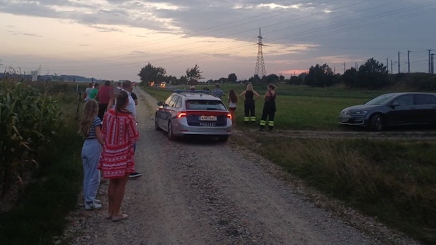 Große Sorge um Emil! Elch-Gaffer sorgen für Wirbel