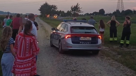 Heute.at - Große Sorge um Emil! Elch-Gaffer sorgen für Wirbel