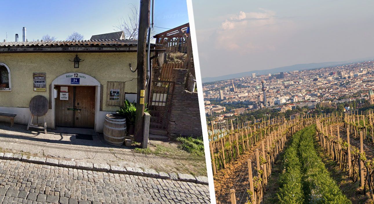 Links der Dornröschenkeller in der Stammersdorfer Kellergasse, rechts die Wiener Weingärten mit Blick auf die Stadt – hier schrieb Serpahine Vrbicky fast fünf Jahrzehnte Heurigen-Geschichte.