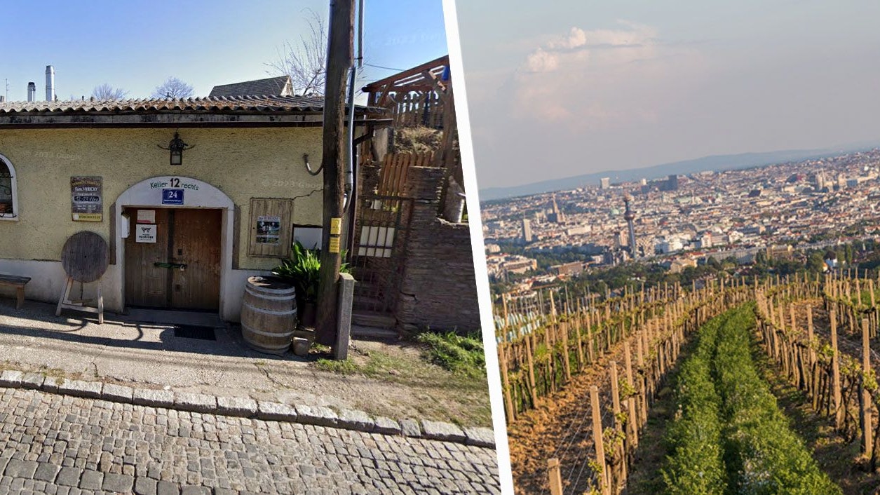 Heute.at - Nach 46 Jahren! Wiener Weinbauer ist insolvent