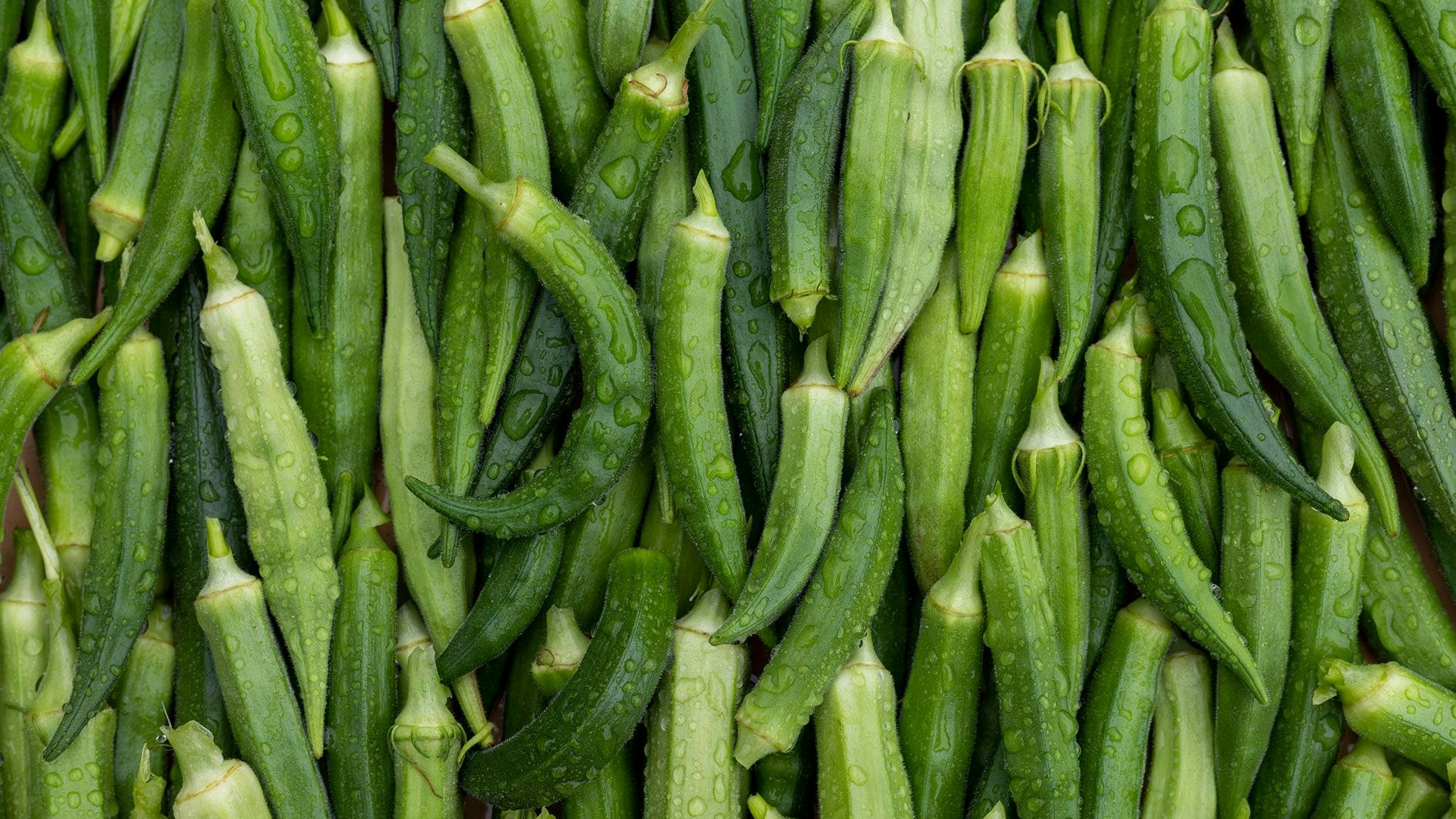 Heute.at - Okra: Wieso dieses glitschige Wasser so im Trend ist