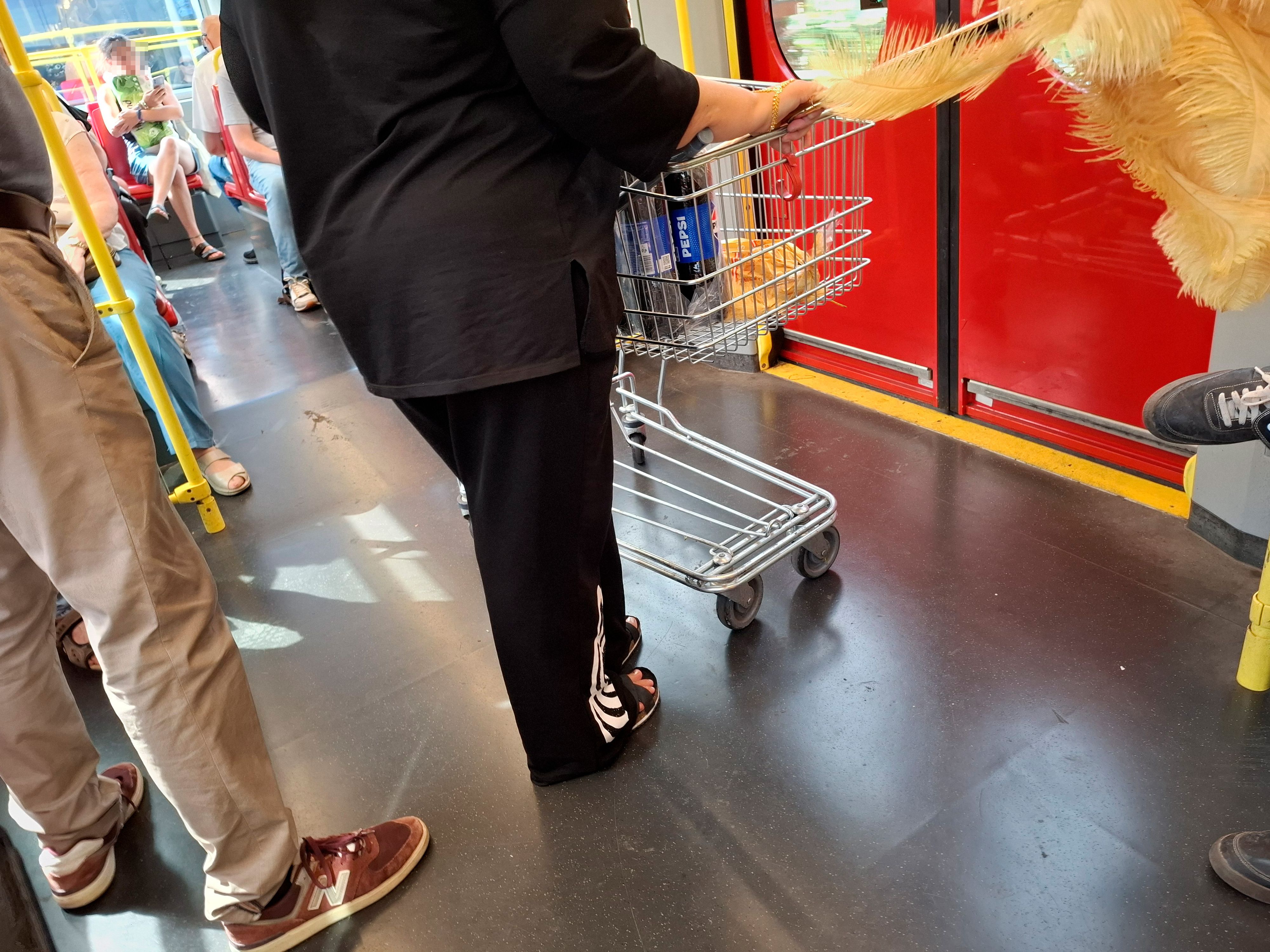 Mit dem Einkaufswagerl in der U6: Wienerin sorgt für Diskussionen. 