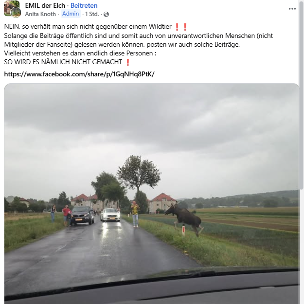 Das Verhalten von Elch-Gaffern regt Emil-Fans auf.