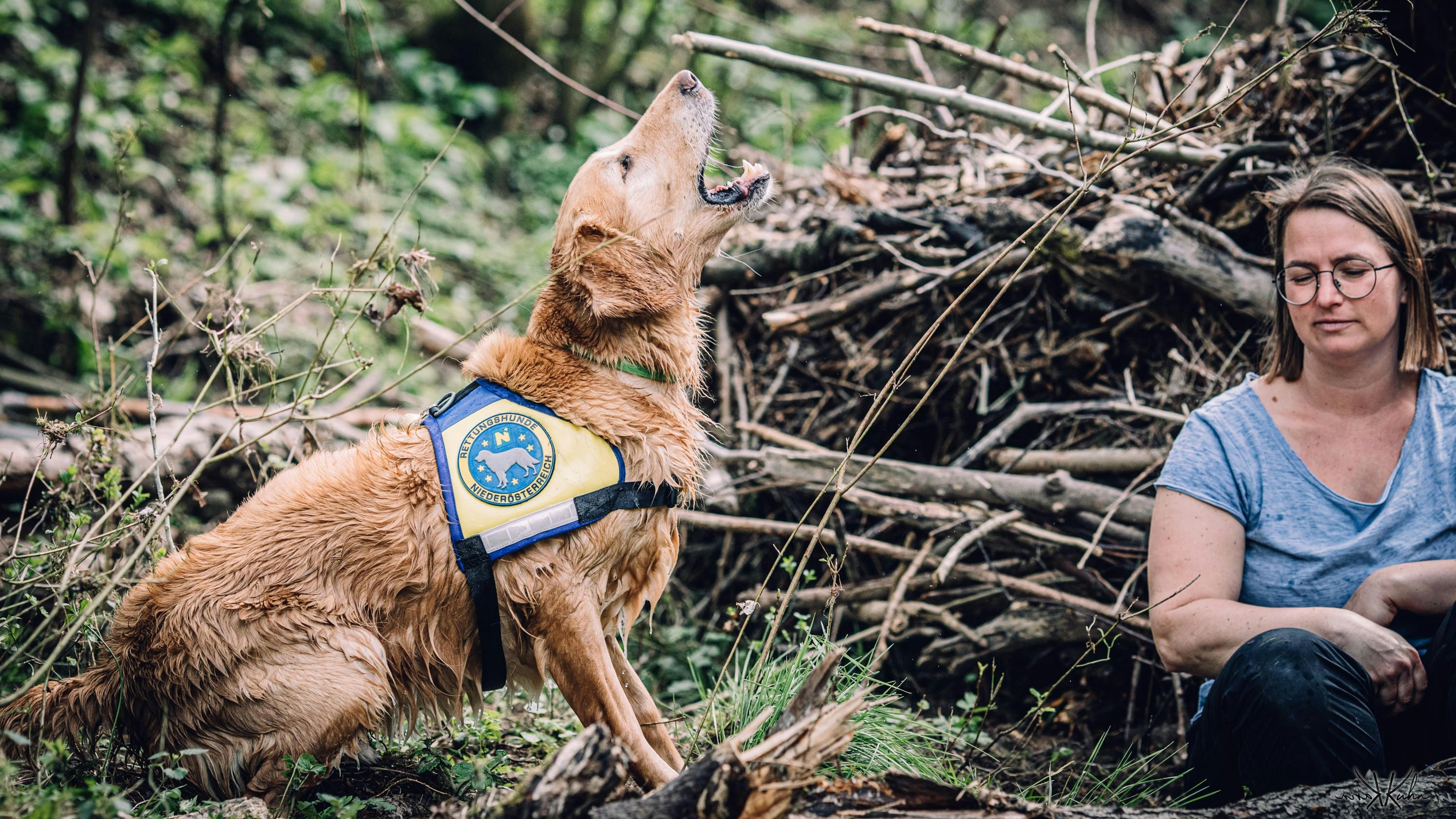 Die Hunde werden zur Menschenrettung ausgebildet.