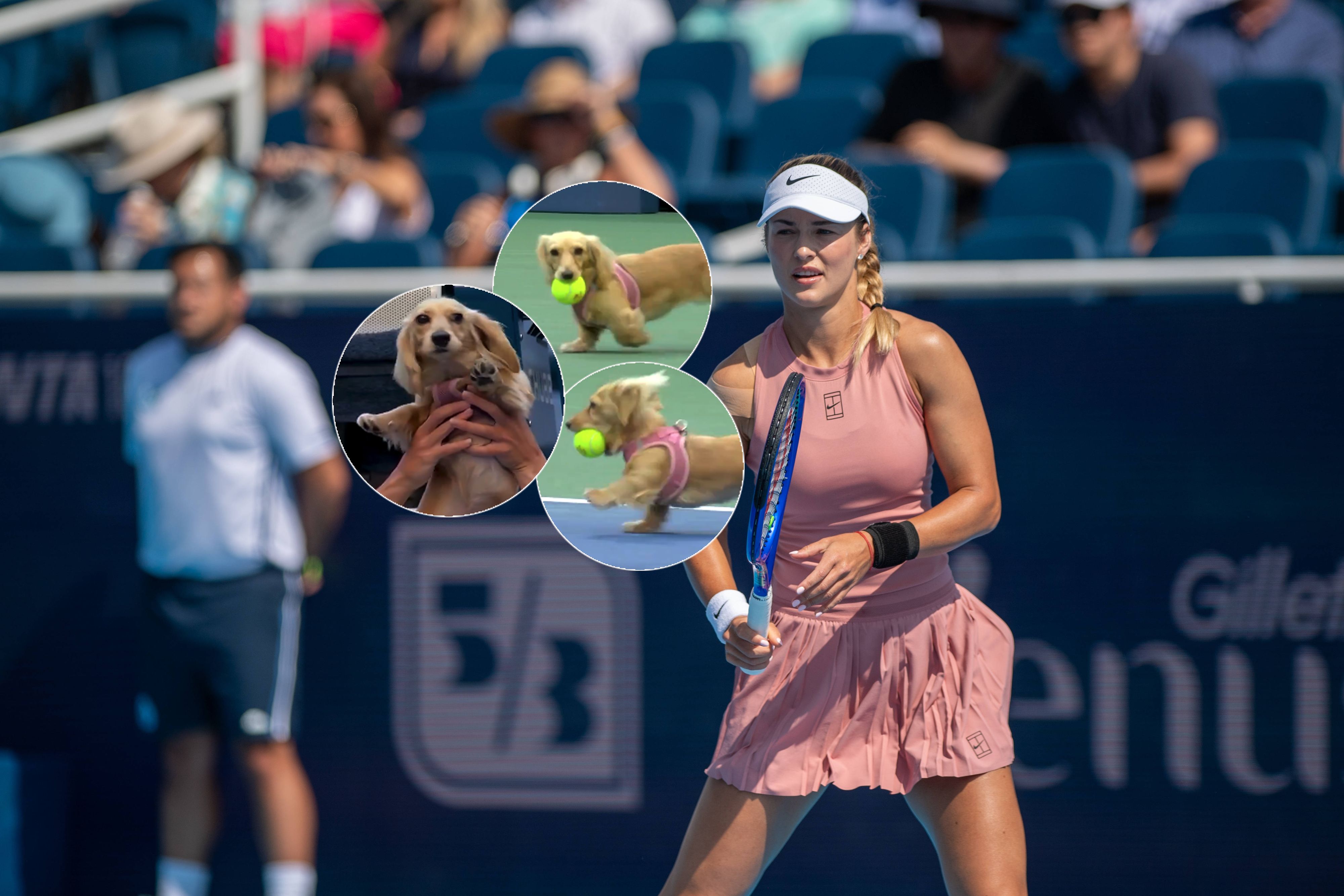 Anna Kalinskaja sorgt mit ihrer Hündin Bella für Begeisterung.