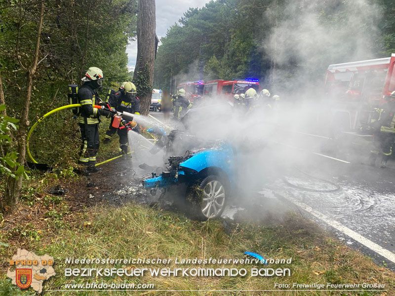 Für den 40-jährigen Pkw-Lenker kam jede Hilfe zu spät.