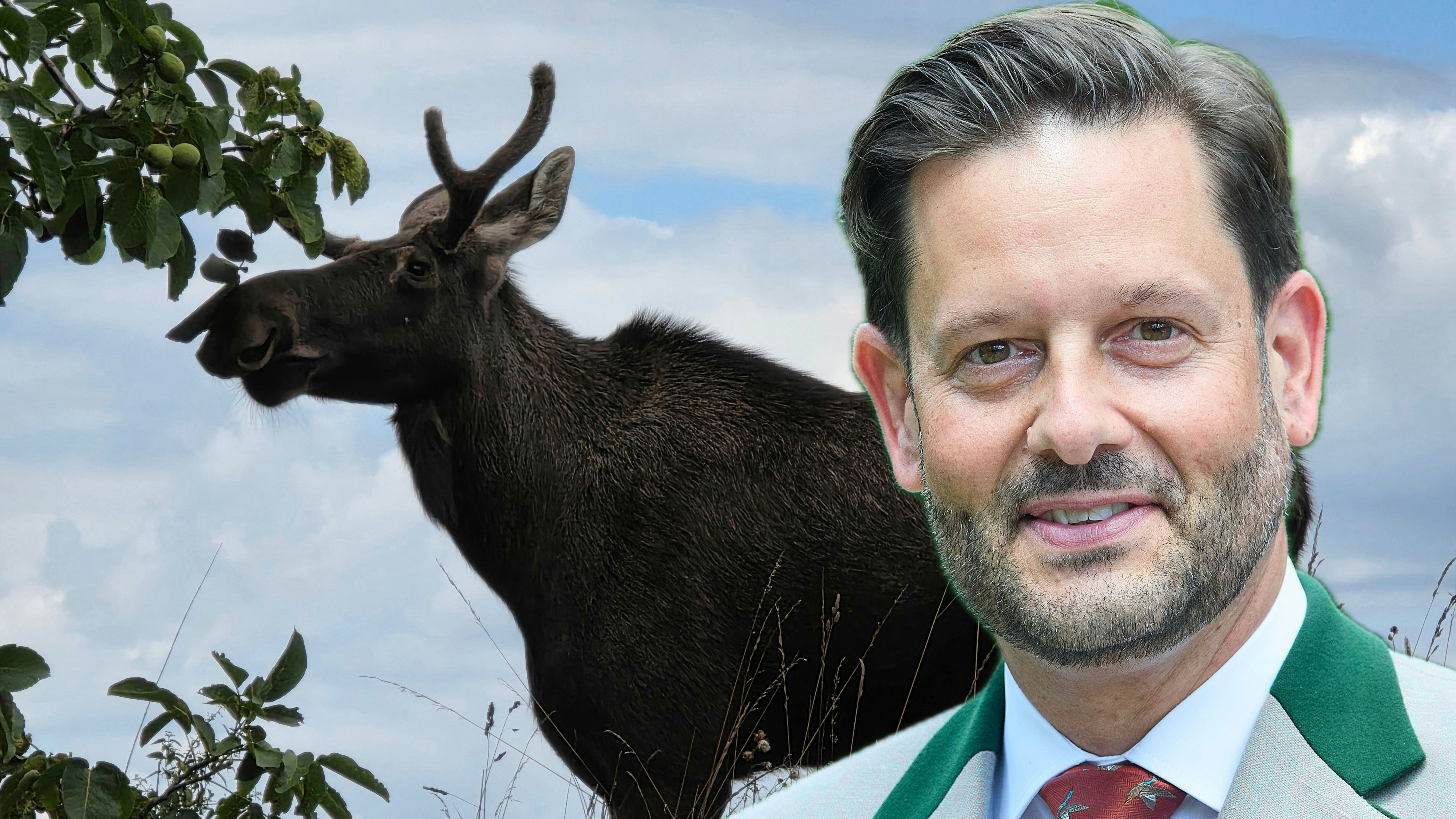 Heute.at - Elch Emil: Sollte nicht unter Druck gesetzt werden