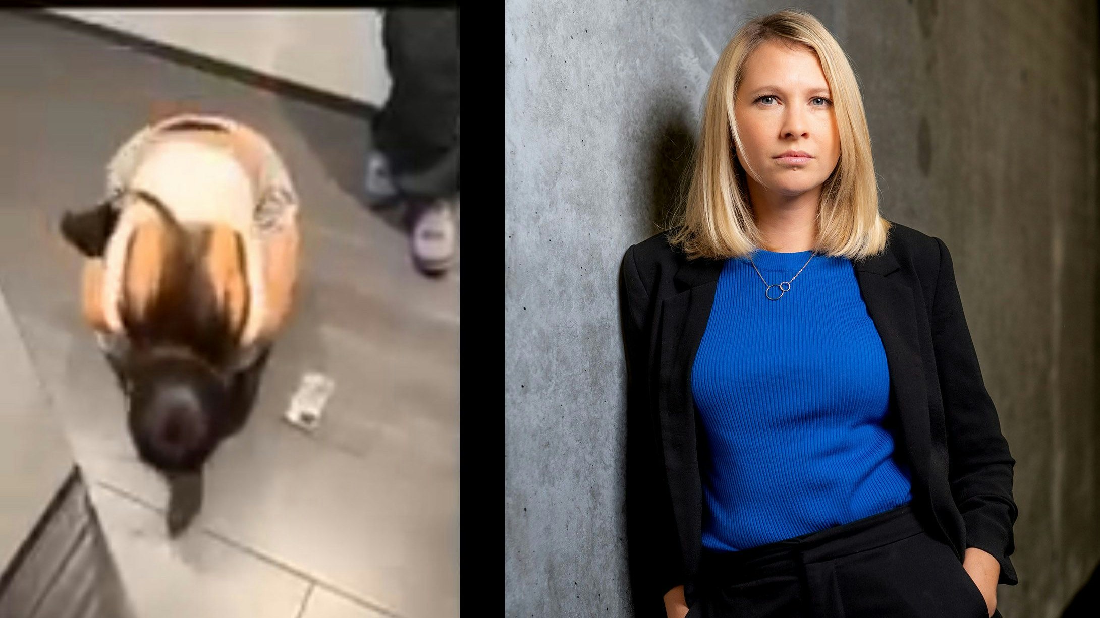 Puls4-Thementag "Mädchengewalt"