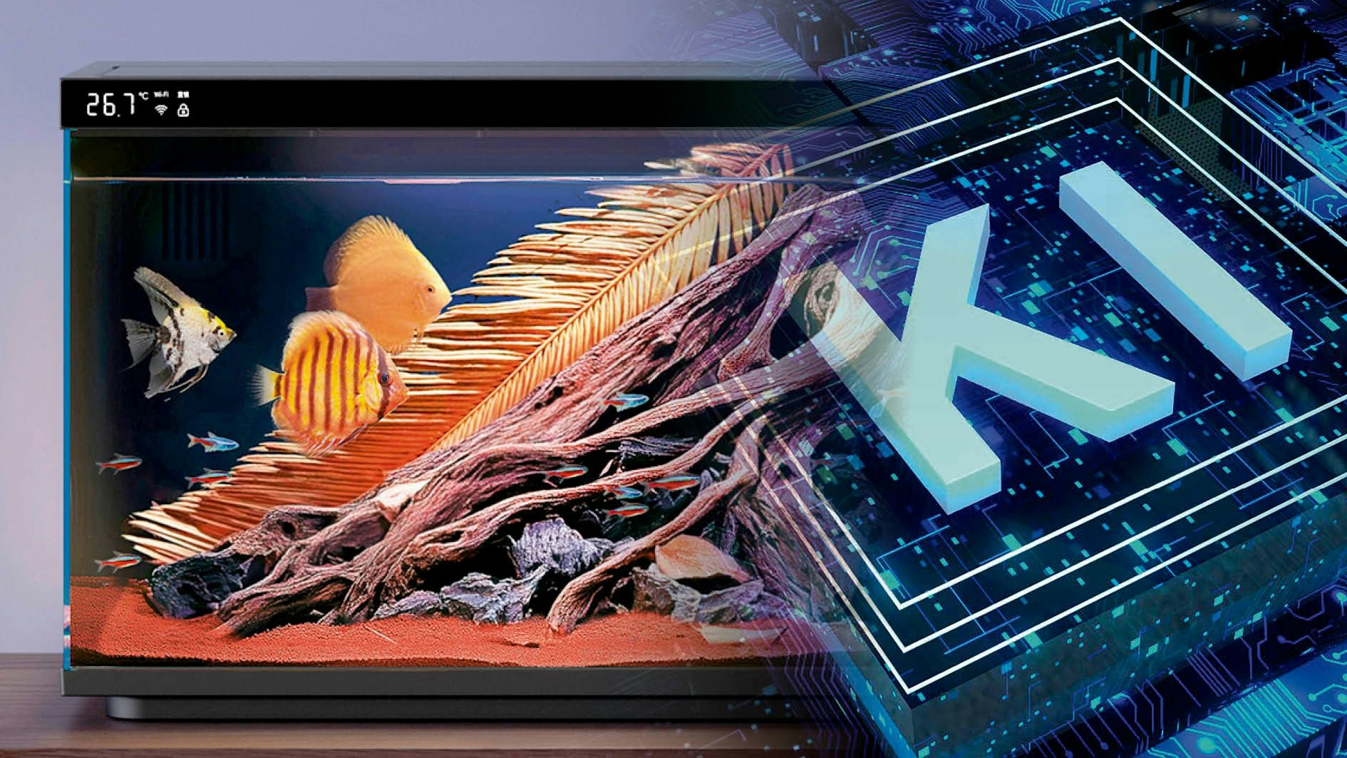 Heute.at - Neues & Schräges: Künstliche Intelligenz für die Fische