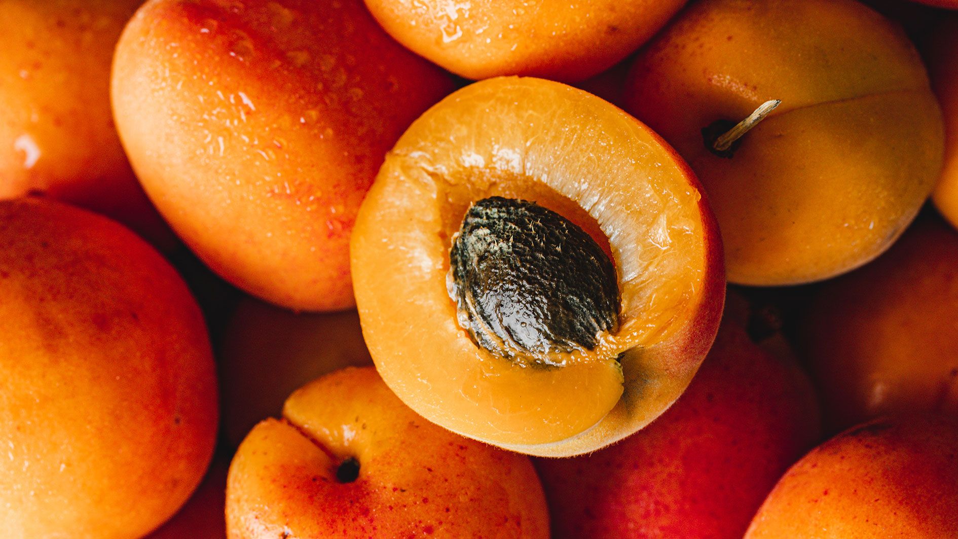 In manchen Steinfrüchten ist der Kern gespalten - giftig für den Menschen ist darin das Amygdalin.