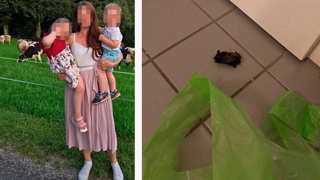 Die Wienerin hatte Angst um ihre Kinder