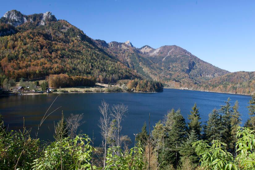 Hier beim Schwarzensee in der Nähe von St. Wolfgang ist das Unglück passiert.