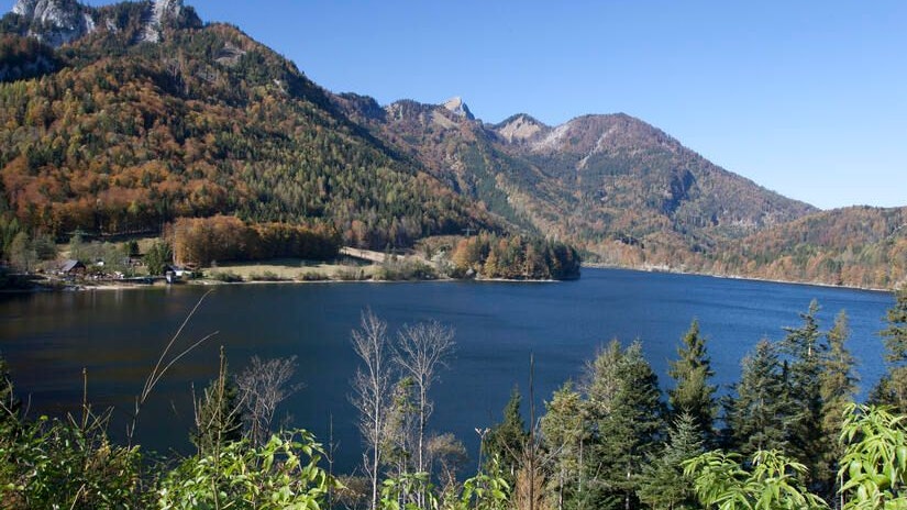 Heute.at - Albtraum für Eltern – Bub (12) stürzt 3 Meter in Tiefe